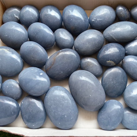 31 pc blue angelite palms