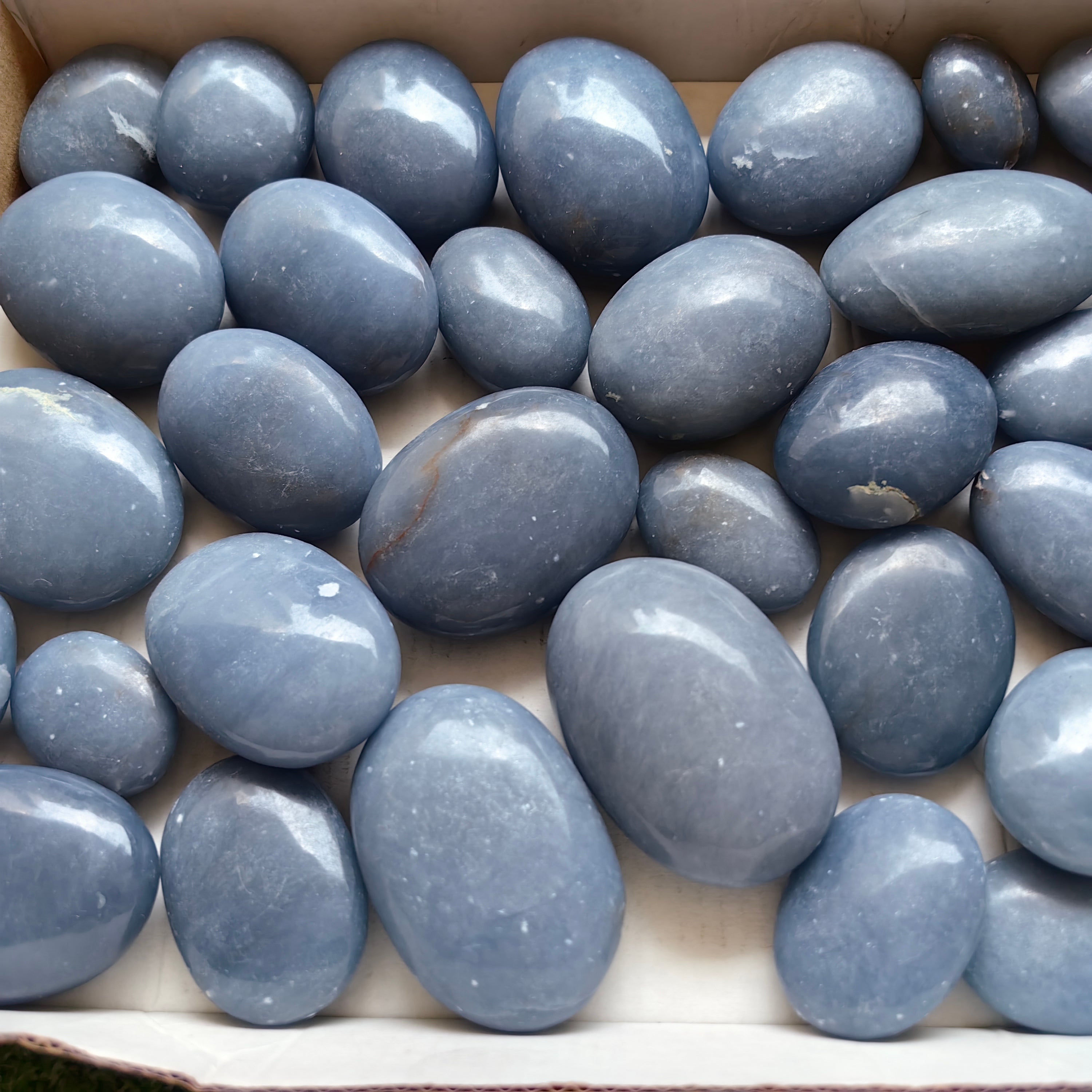31 pc blue angelite palms