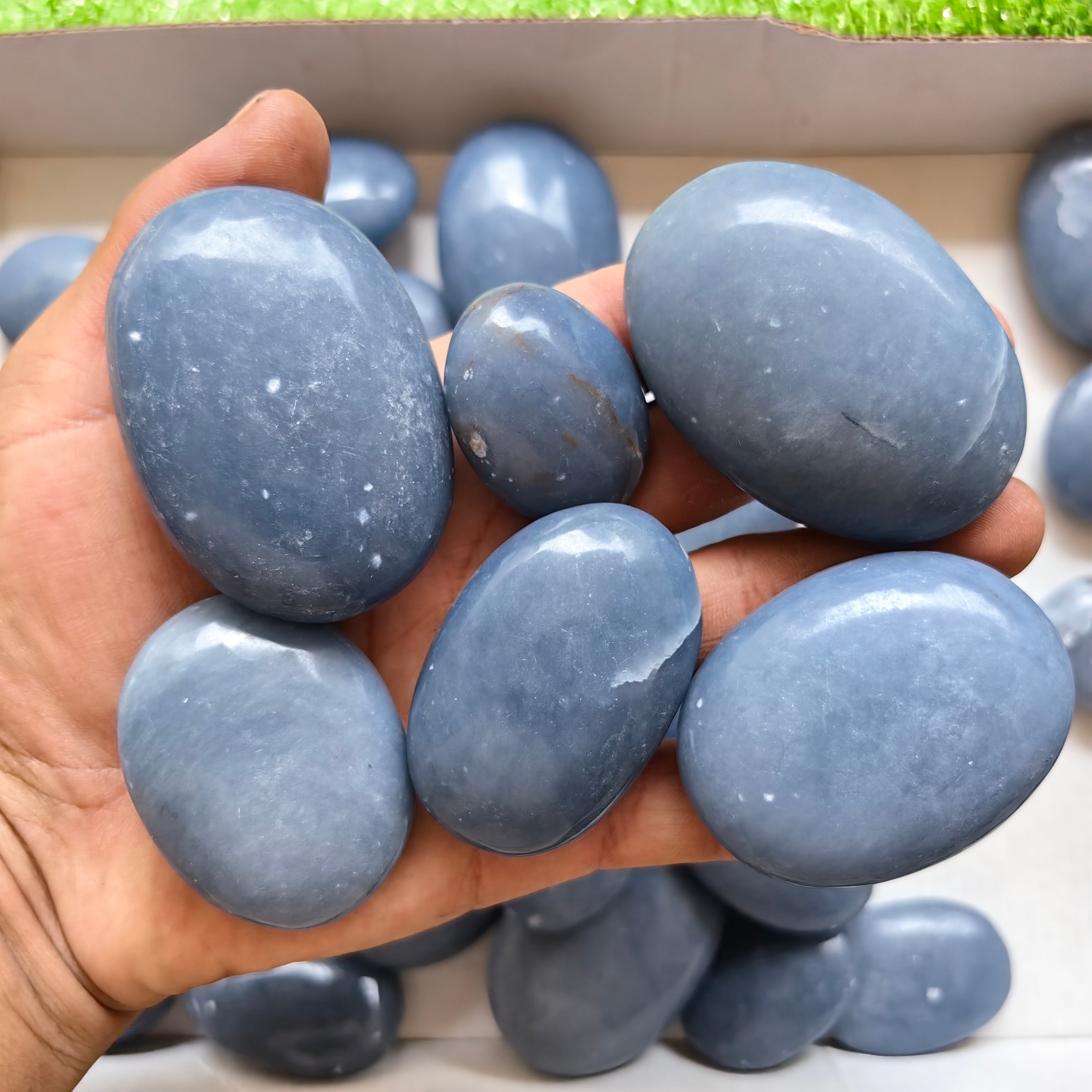 31 pc blue angelite palms