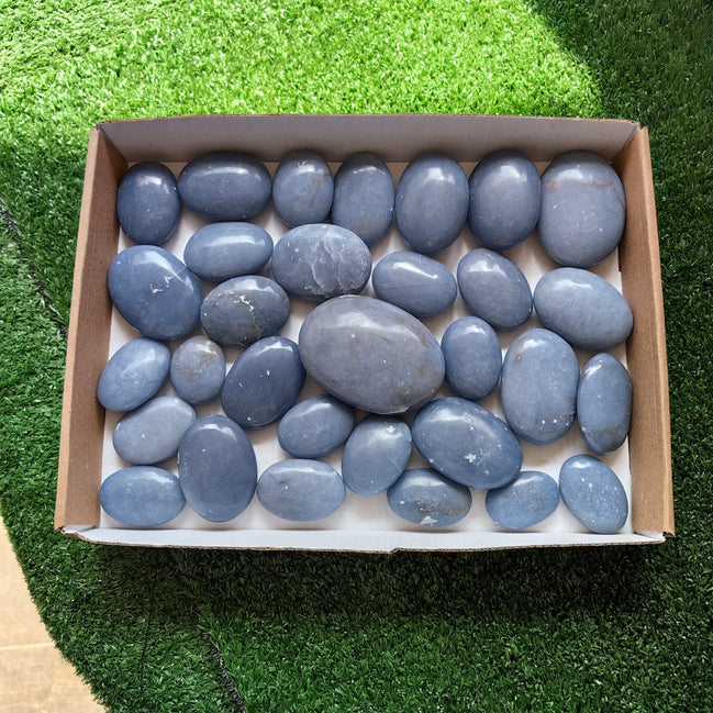 31 pc blue angelite palms