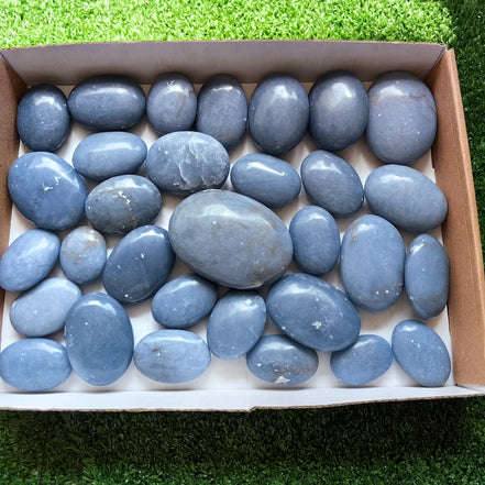 31 pc blue angelite palms