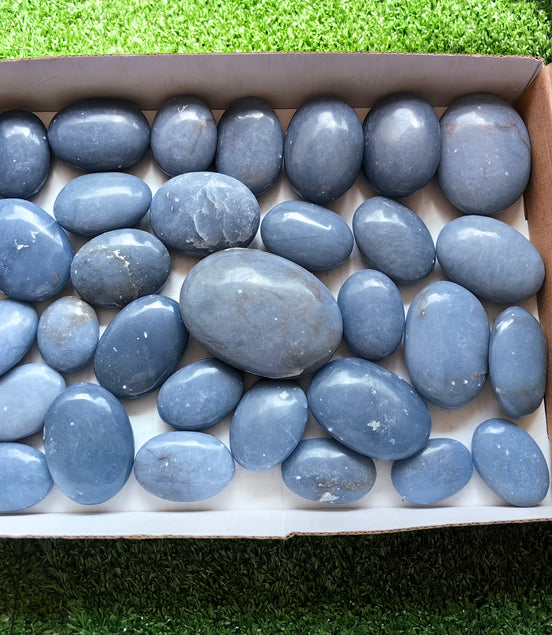 31 pc blue angelite palms