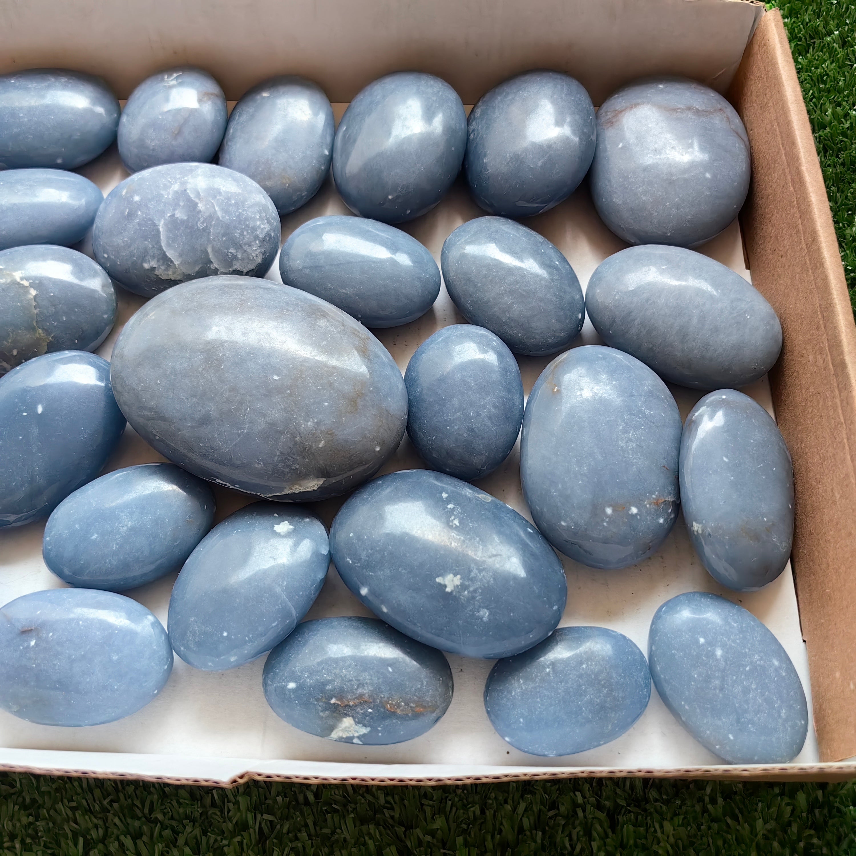 31 pc blue angelite palms