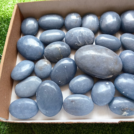 31 pc blue angelite palms