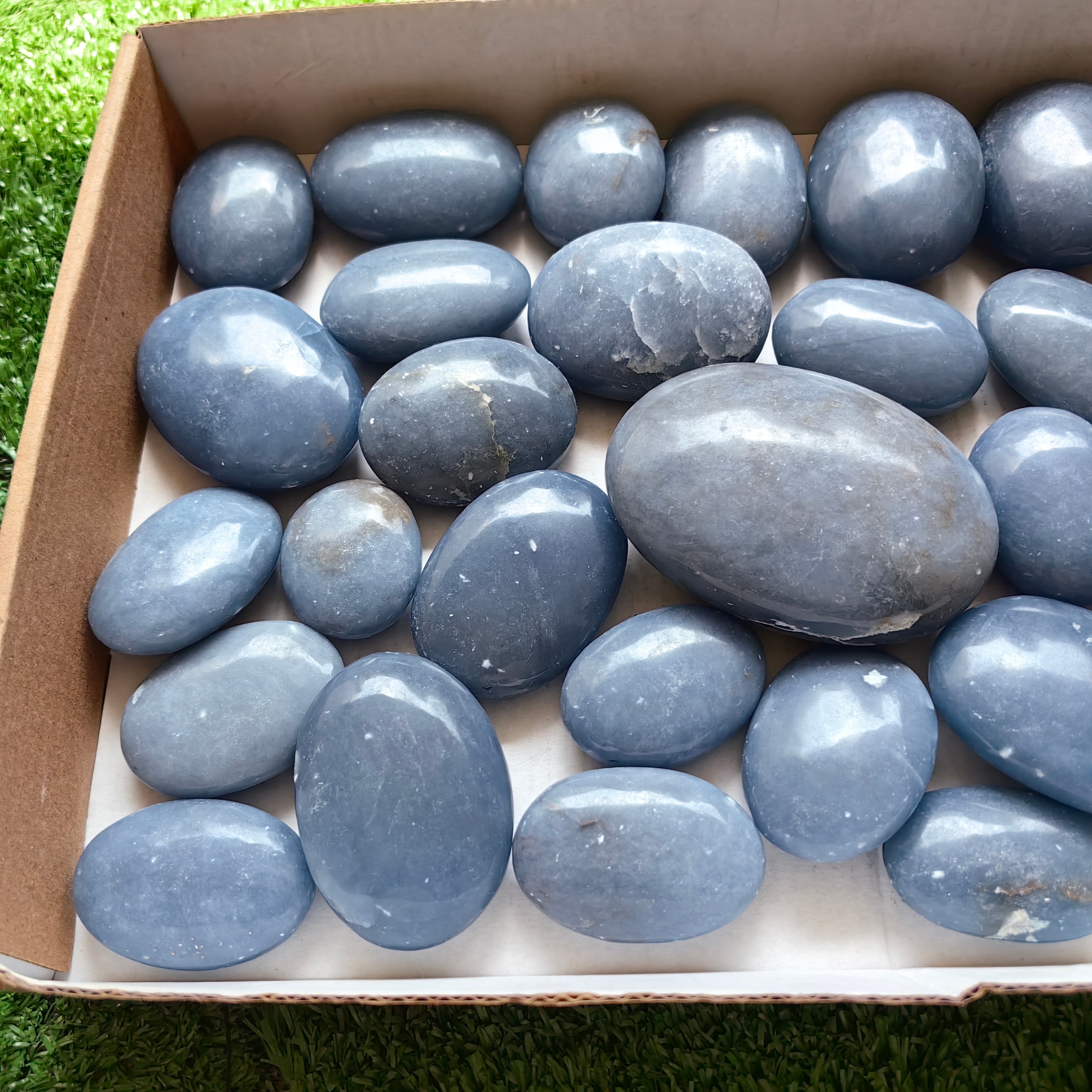 31 pc blue angelite palms