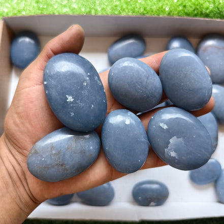 31 pc blue angelite palms