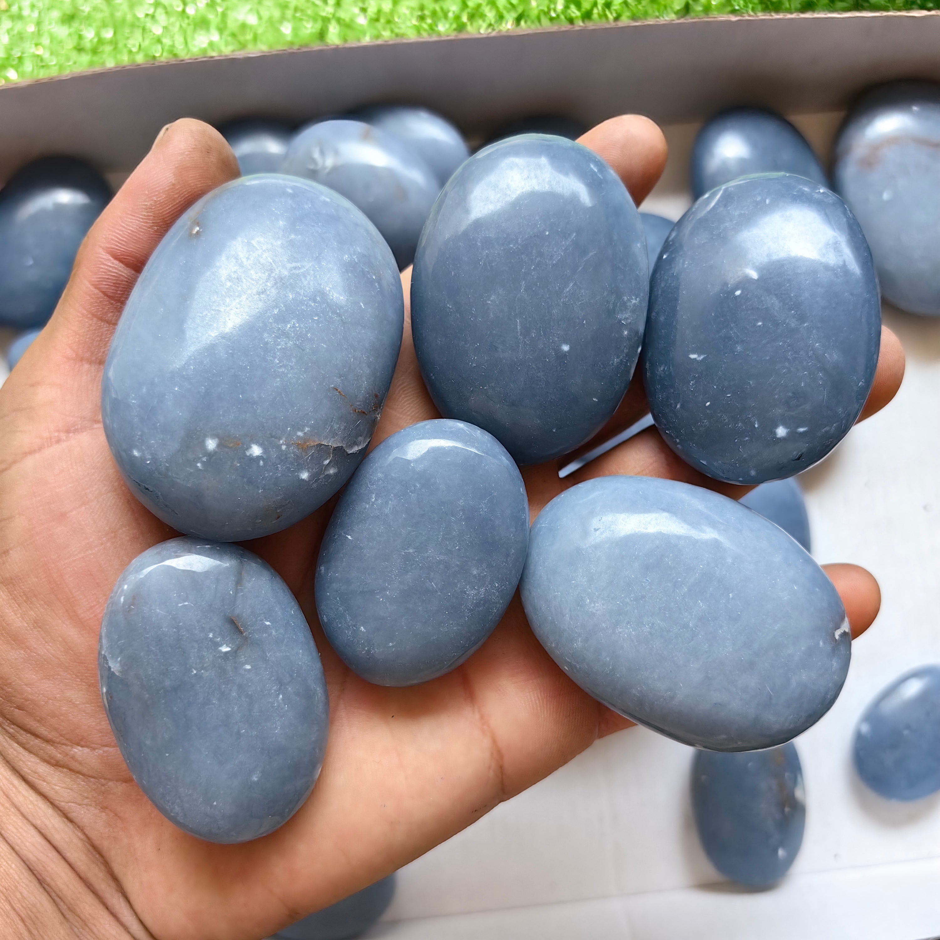 31 pc blue angelite palms