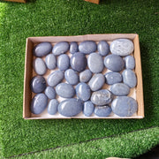 31 pc blue angelite palms
