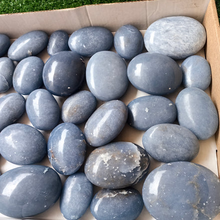 31 pc blue angelite palms