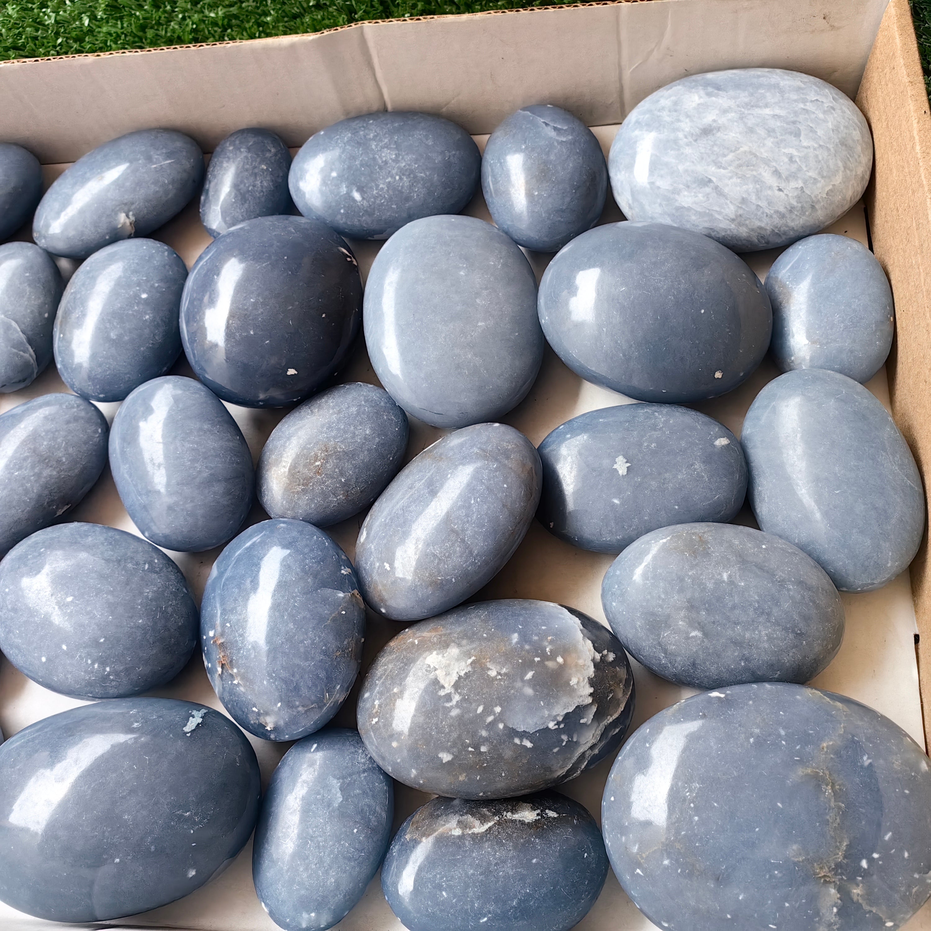 31 pc blue angelite palms
