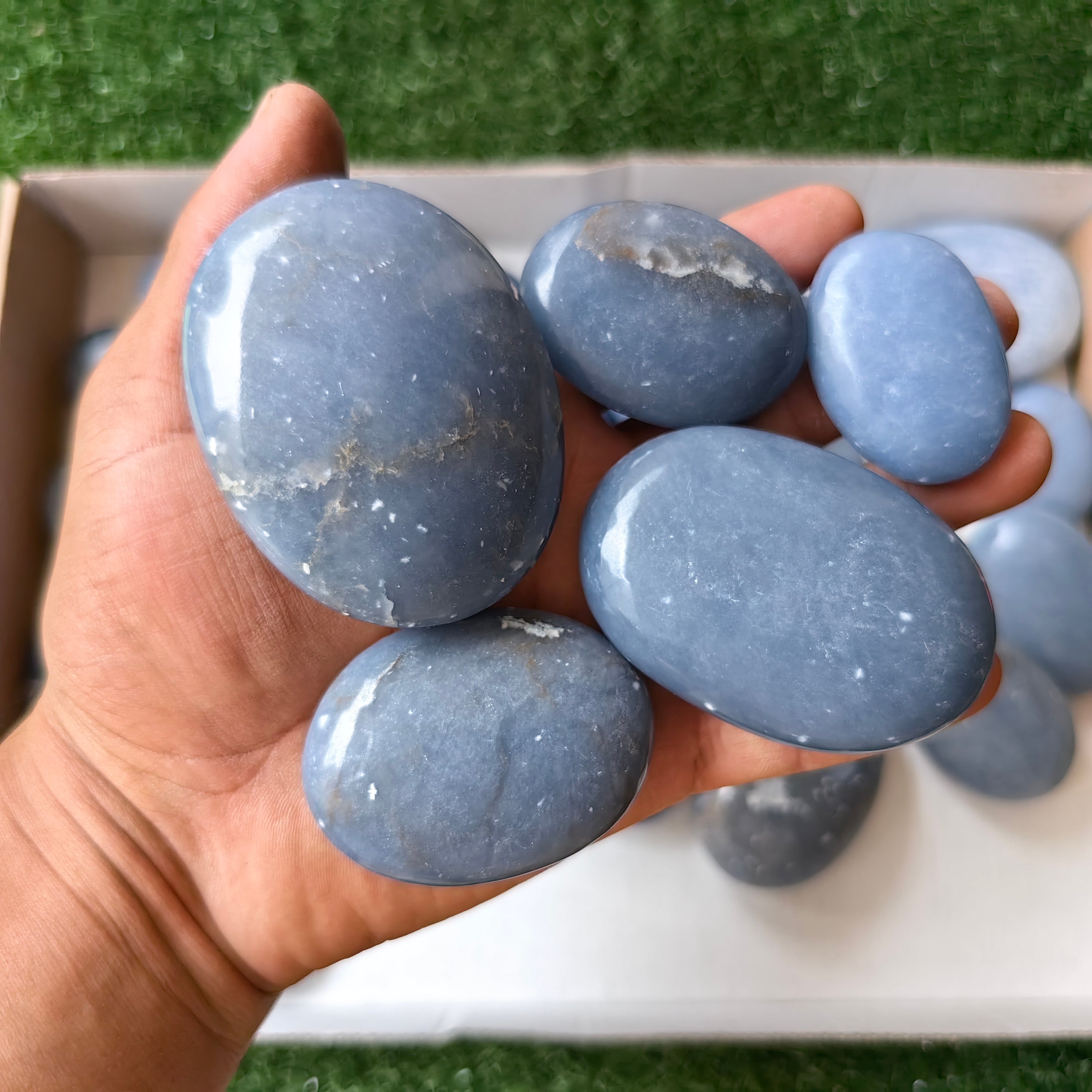 31 pc blue angelite palms