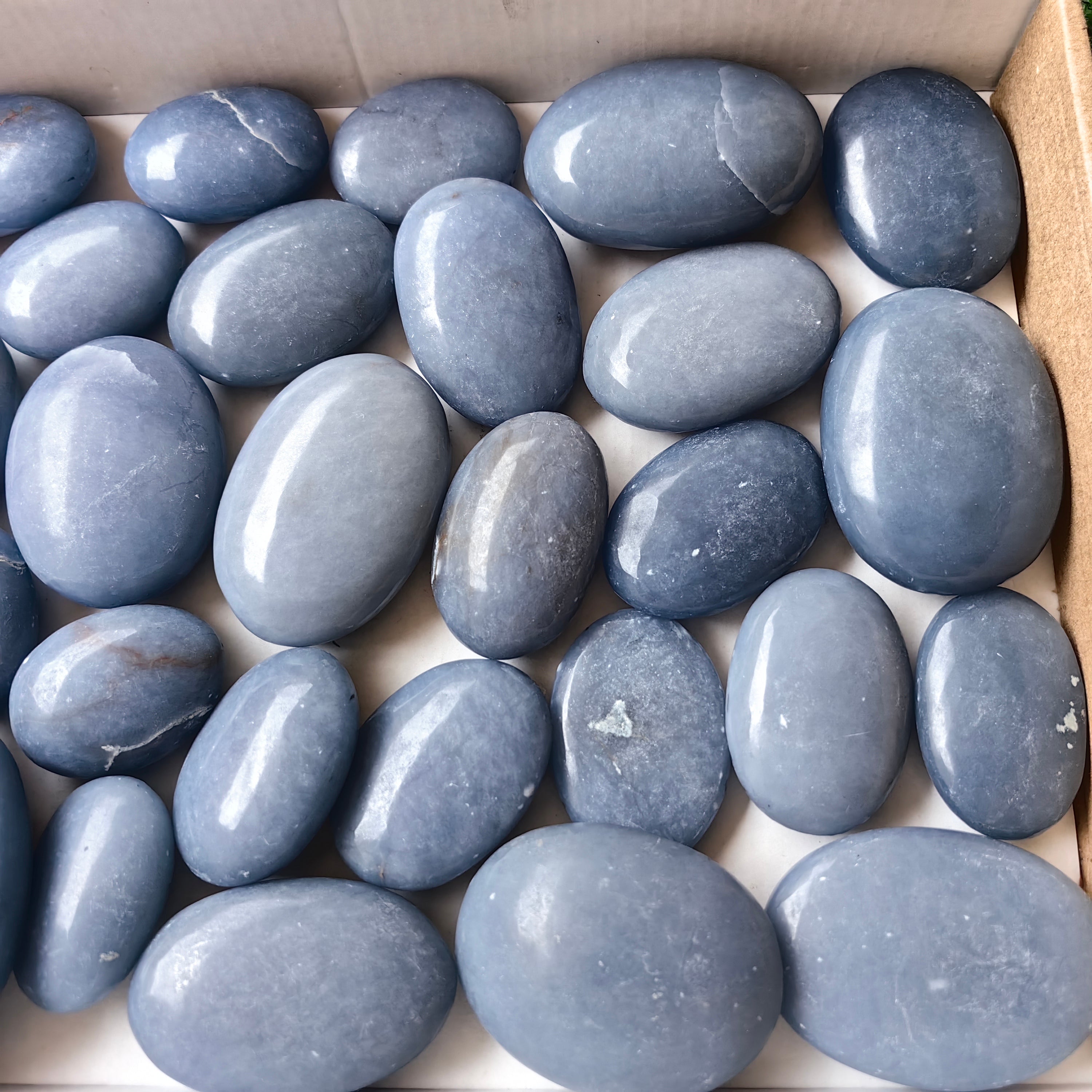 30 pc blue angelite palms