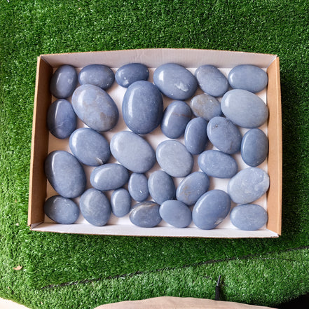 36 pc blue angelite palms