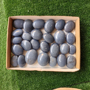 27 pc blue angelite palms