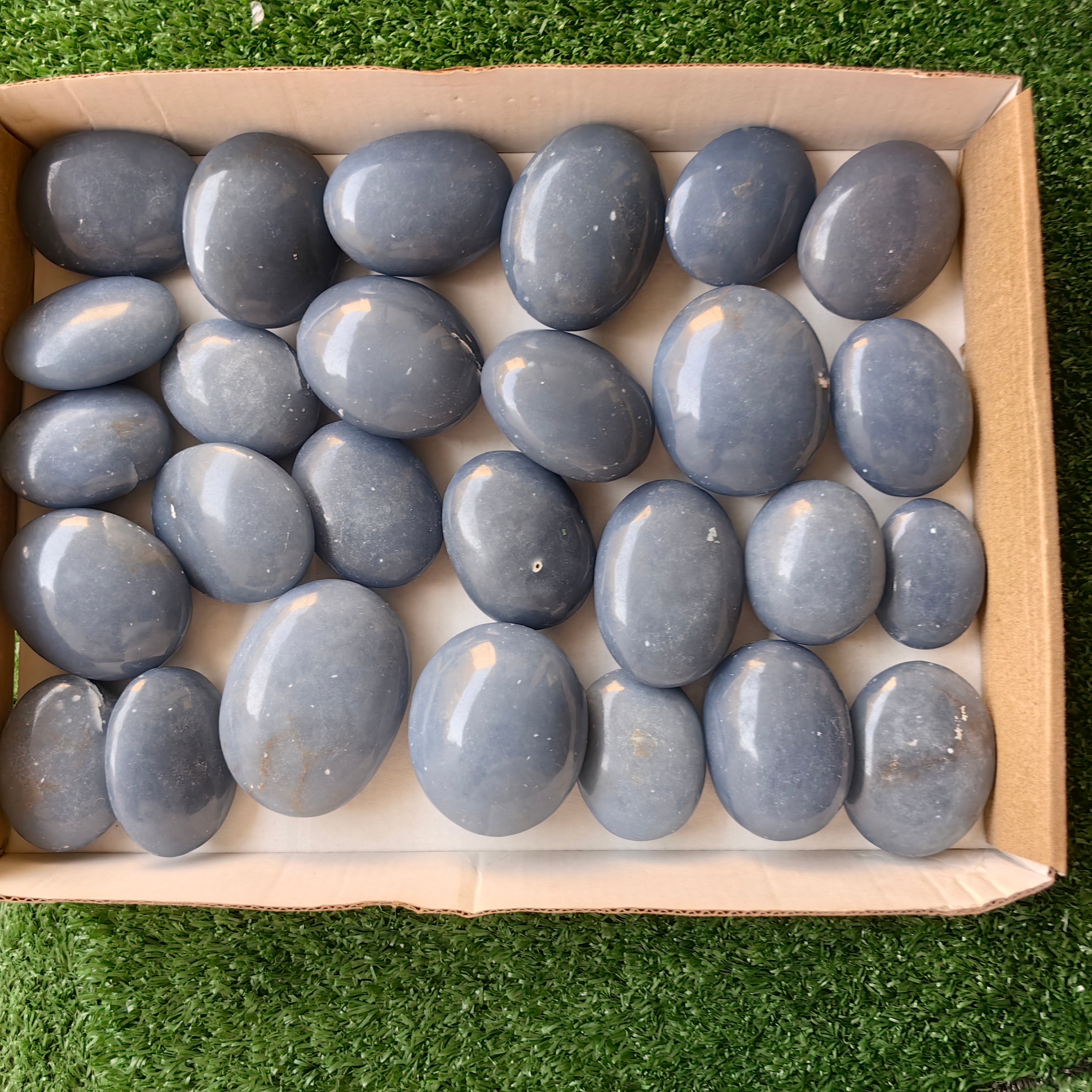 27 pc blue angelite palms
