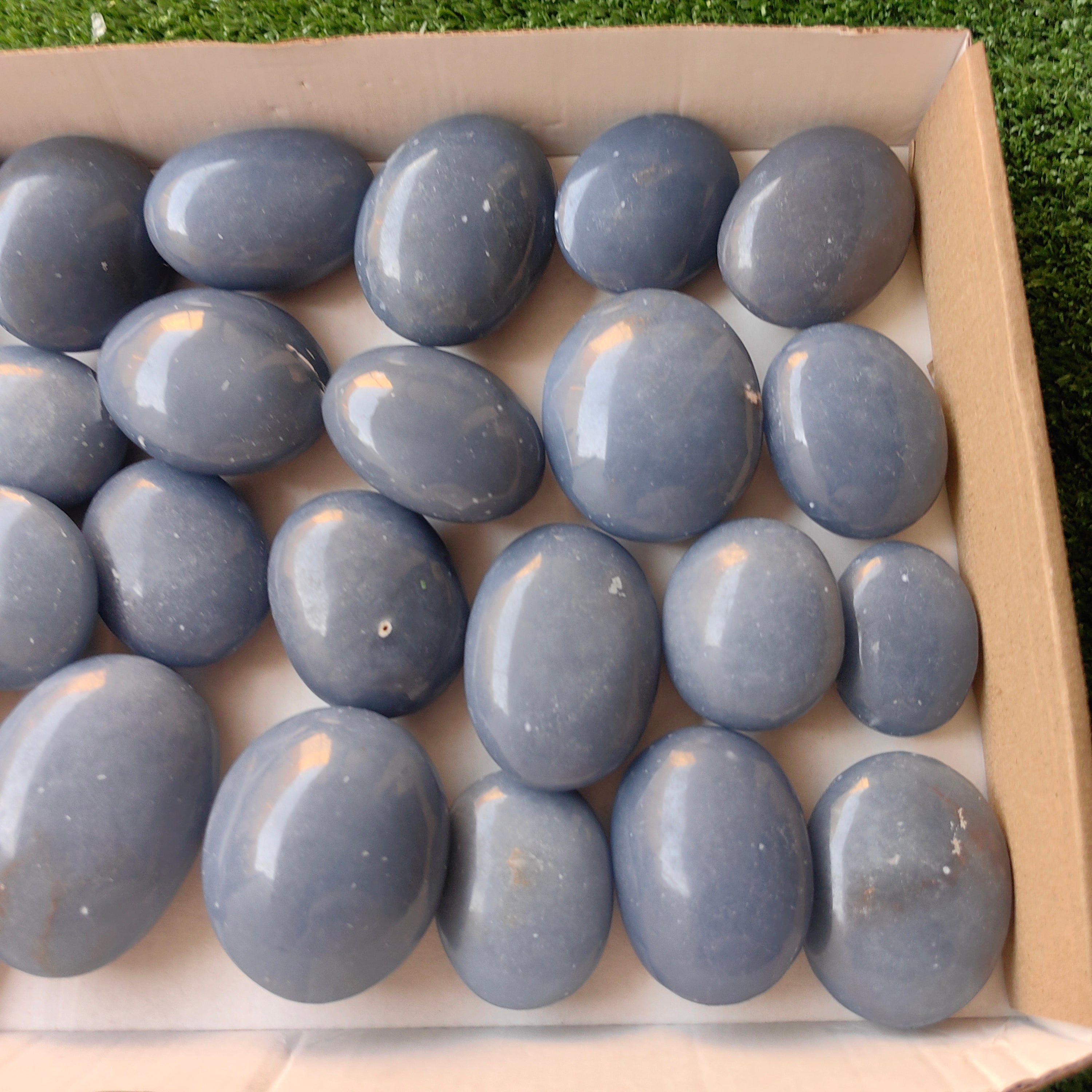 27 pc blue angelite palms