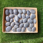 32 pc blue angelite palms