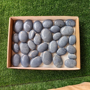 31 pc blue angelite palms