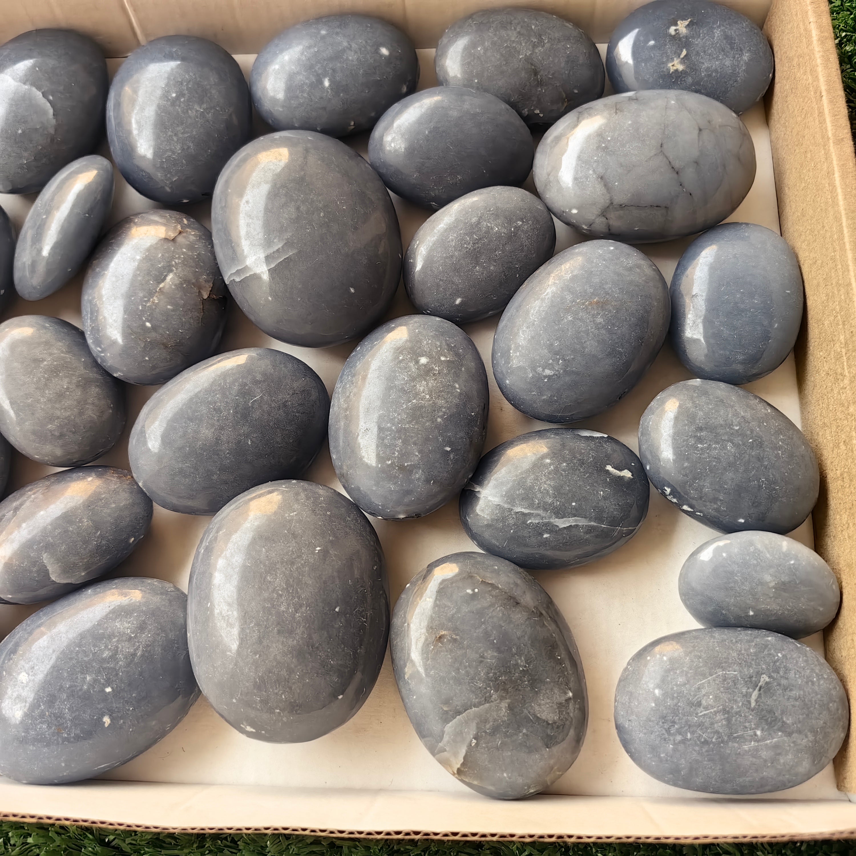 31 pc blue angelite palms
