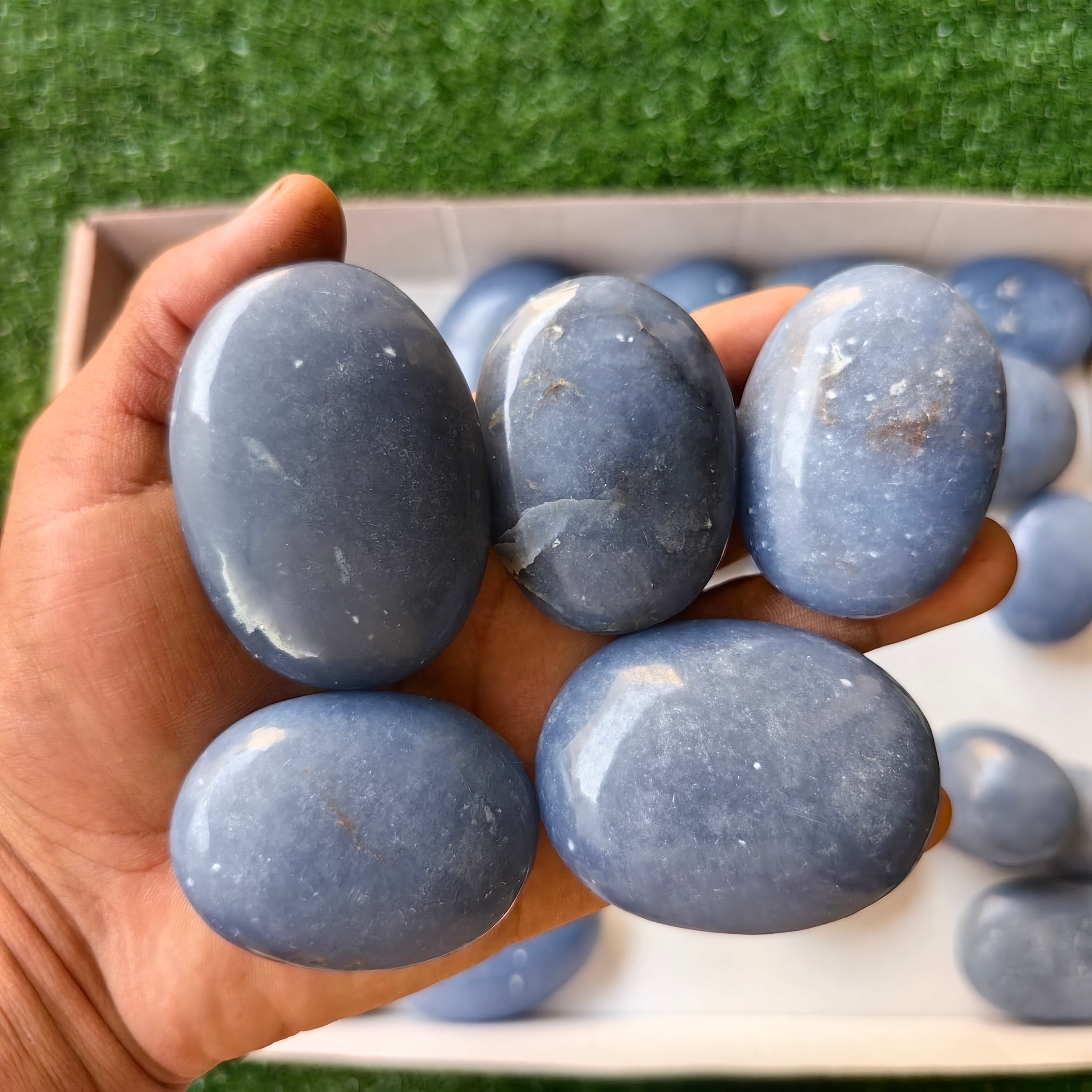 31 pc blue angelite palms