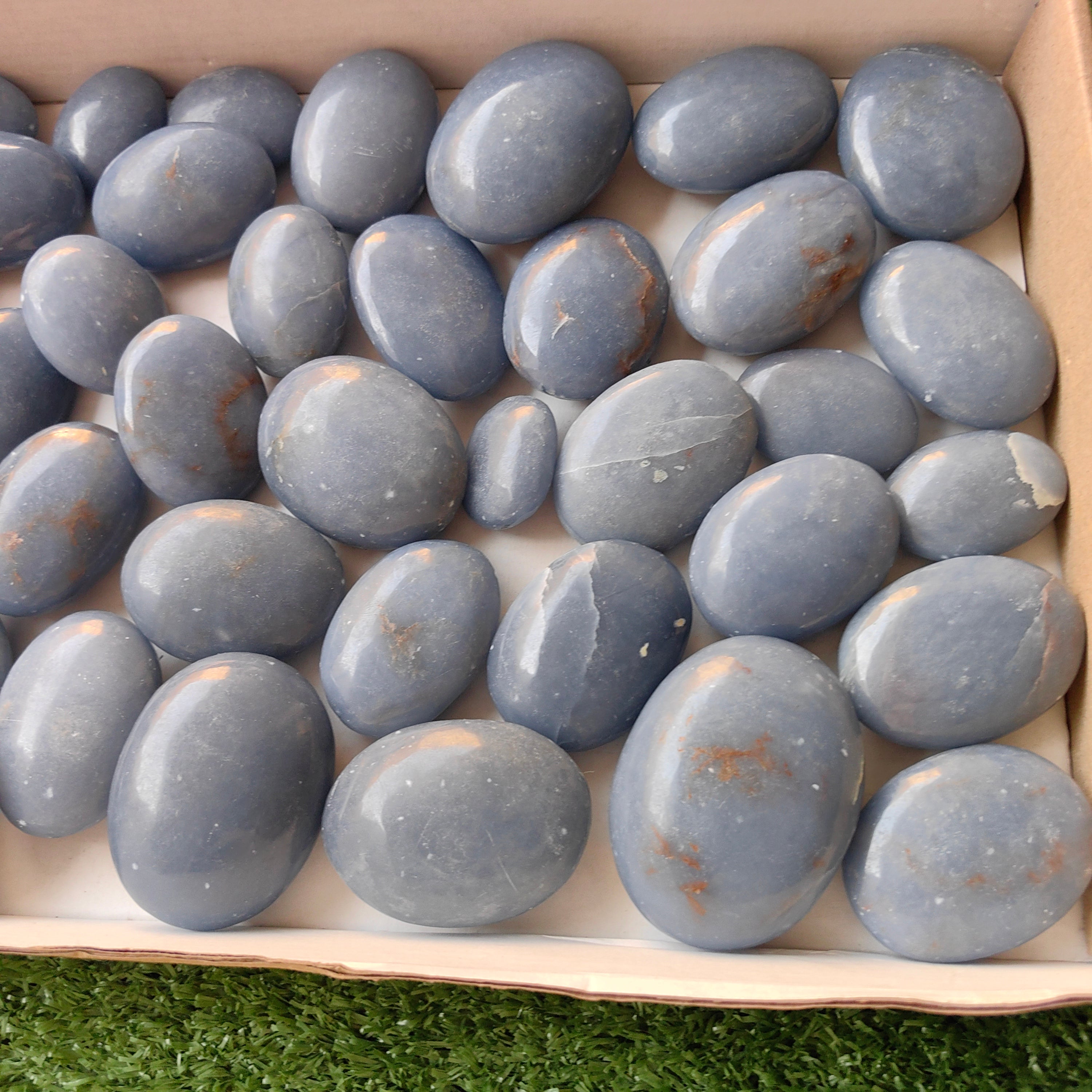 31 pc blue angelite palms
