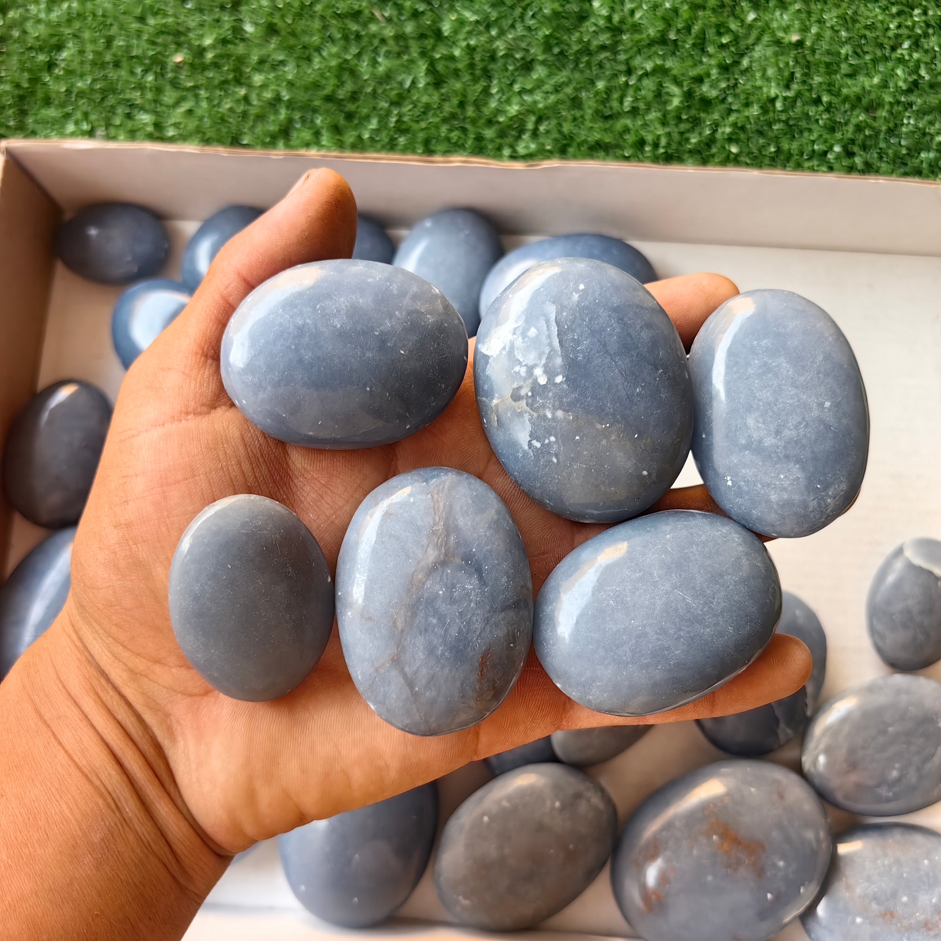 31 pc blue angelite palms