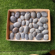 31 pc blue angelite palms