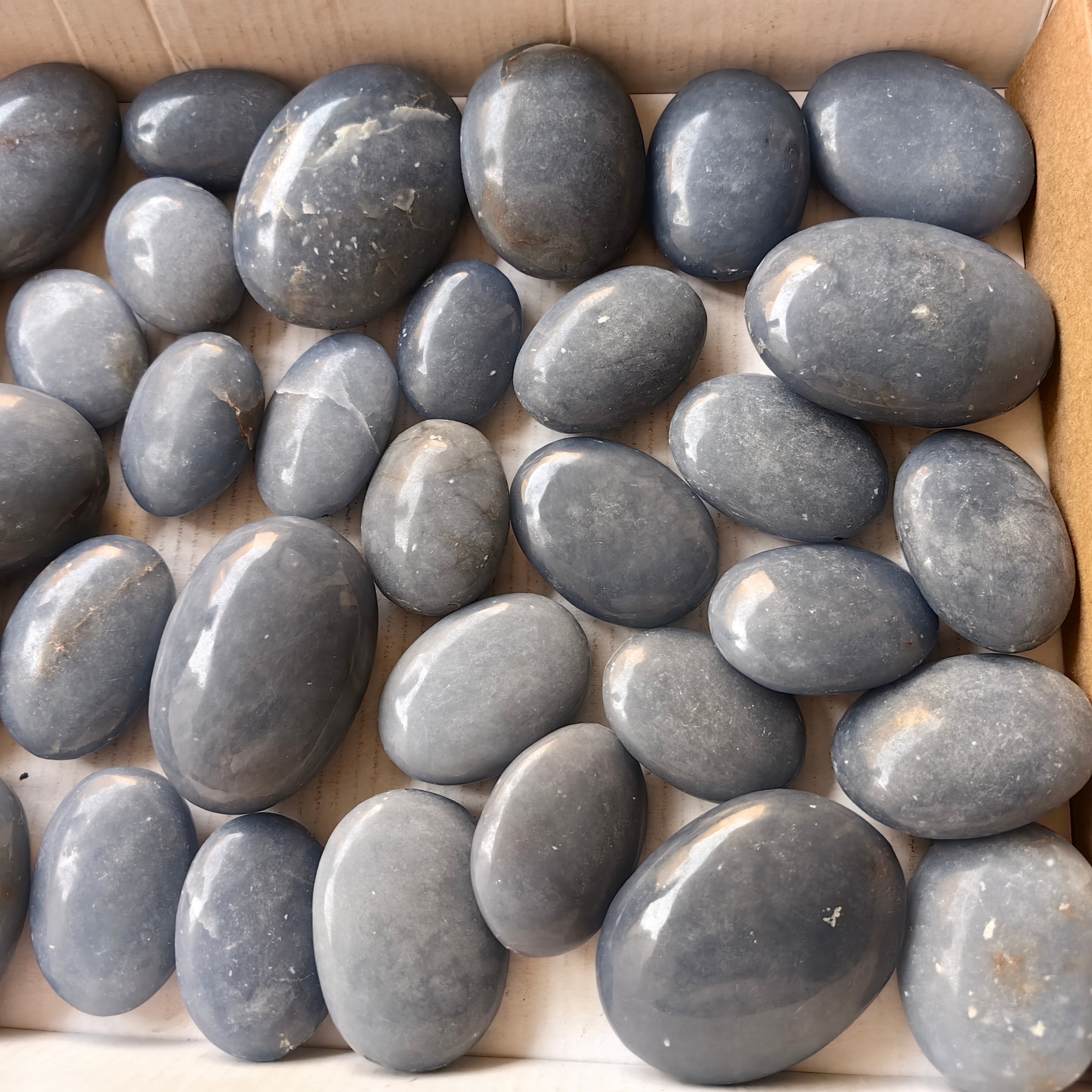 31 pc blue angelite palms