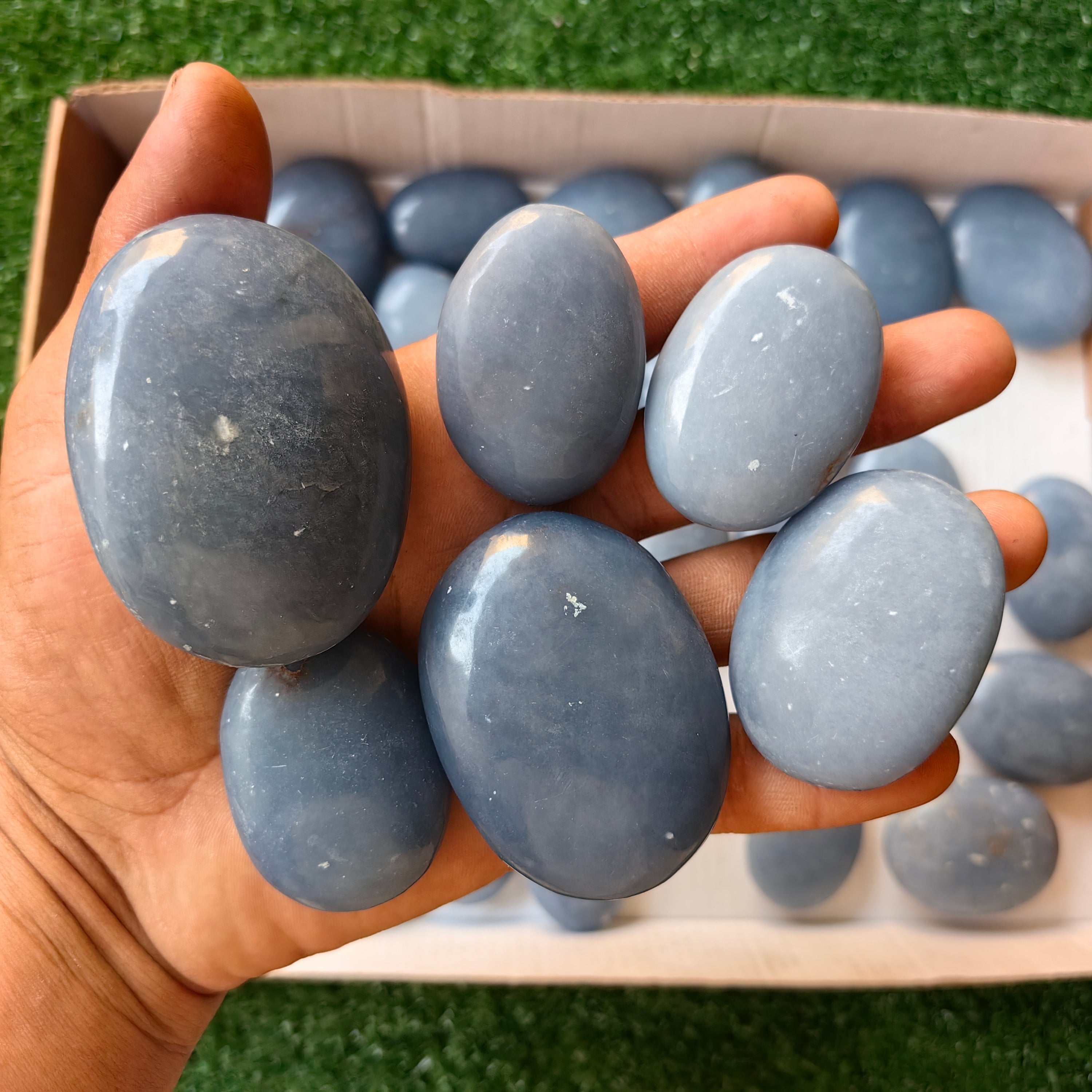 31 pc blue angelite palms
