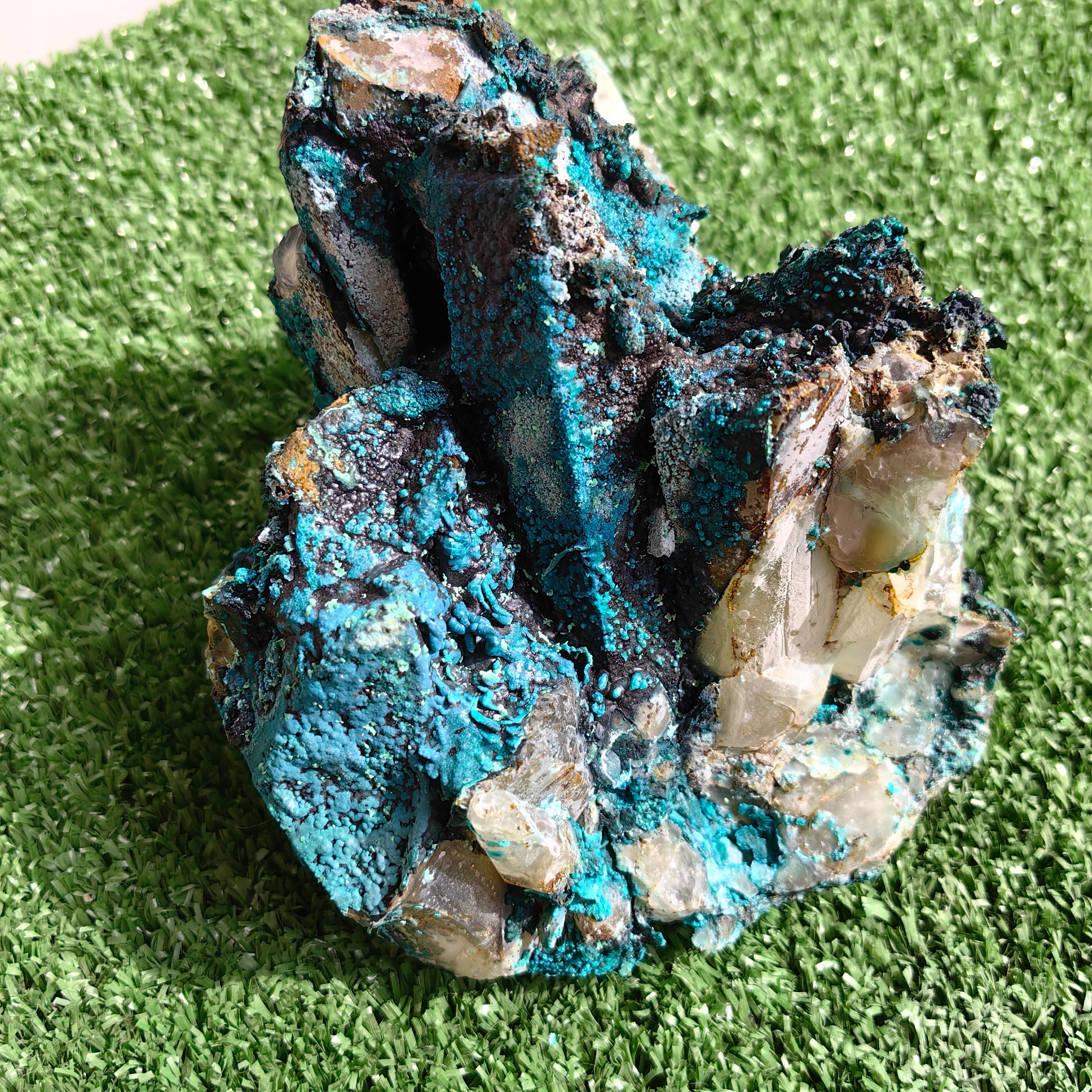 Chrysocolla on Quartz from mine tentadora