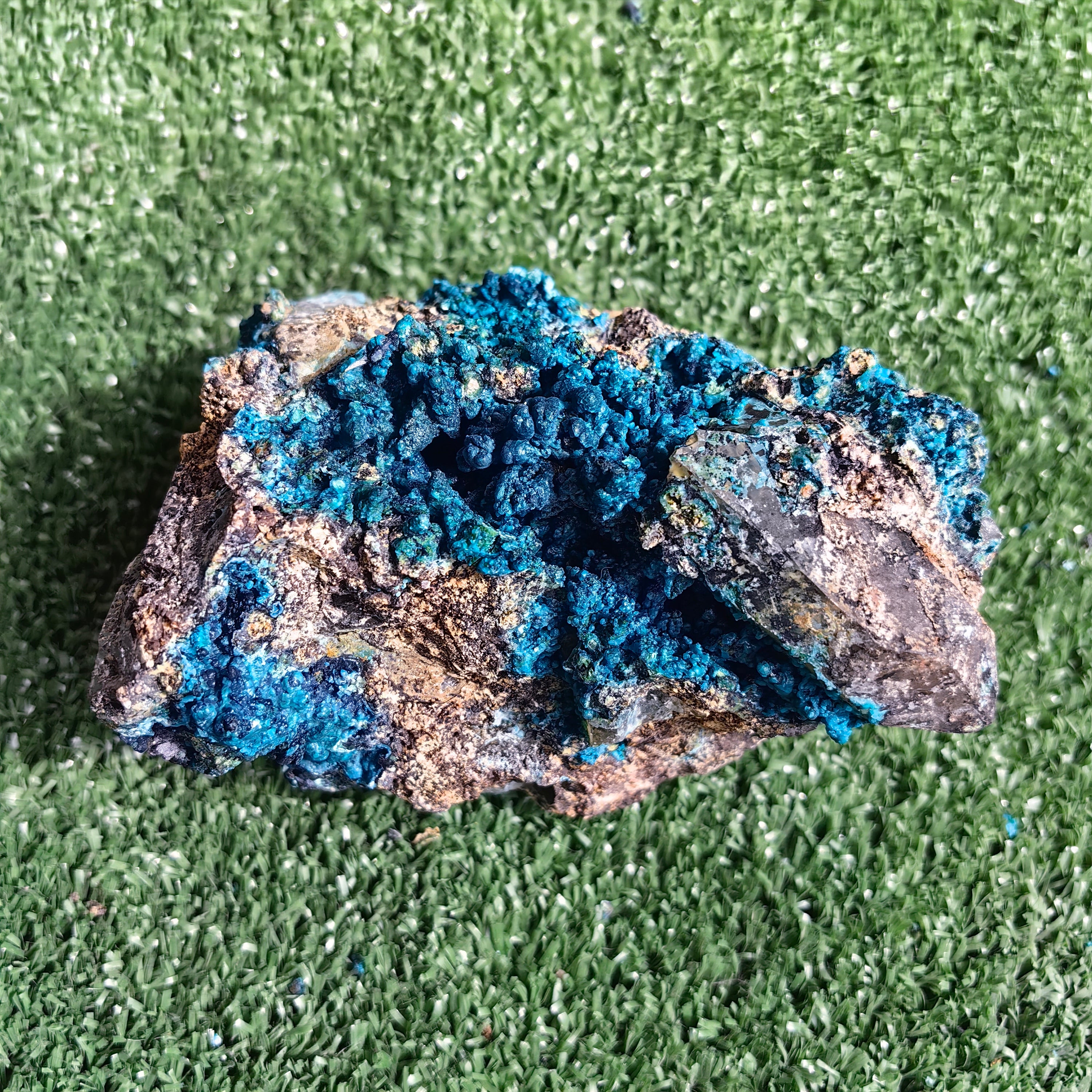 Chrysocolla on Quartz from mine tentadora