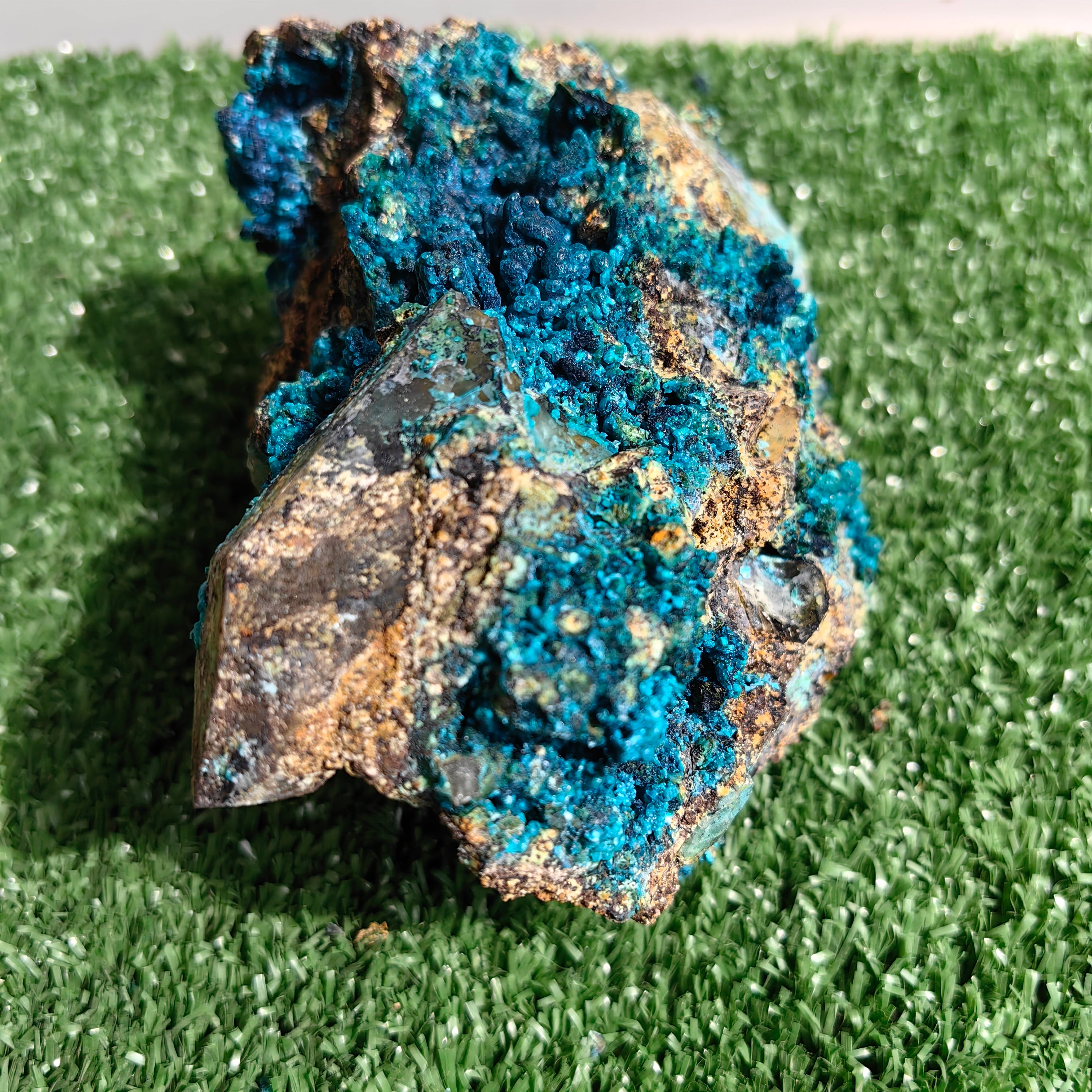 Chrysocolla on Quartz from mine tentadora