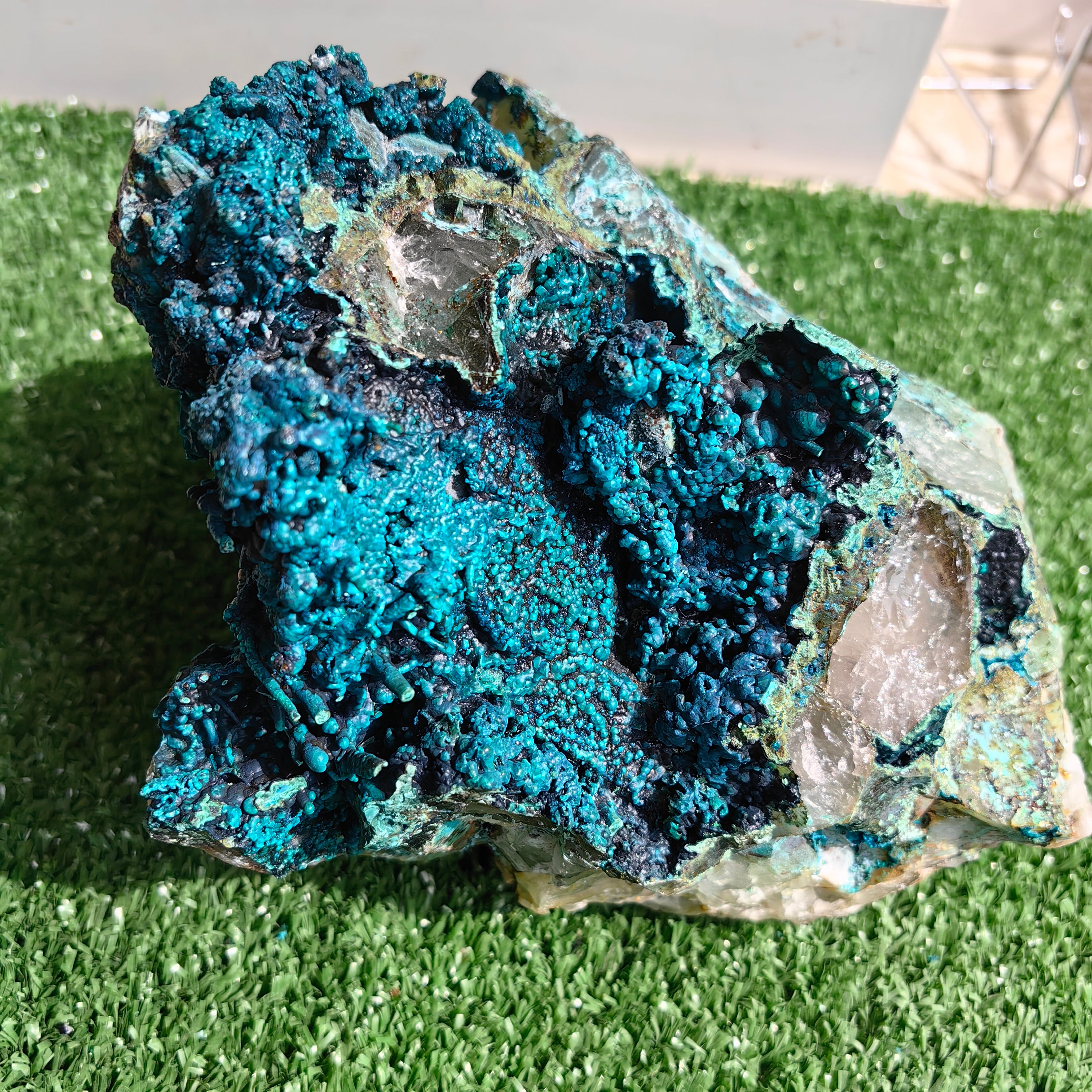 Chrysocolla on Quartz from mine tentadora