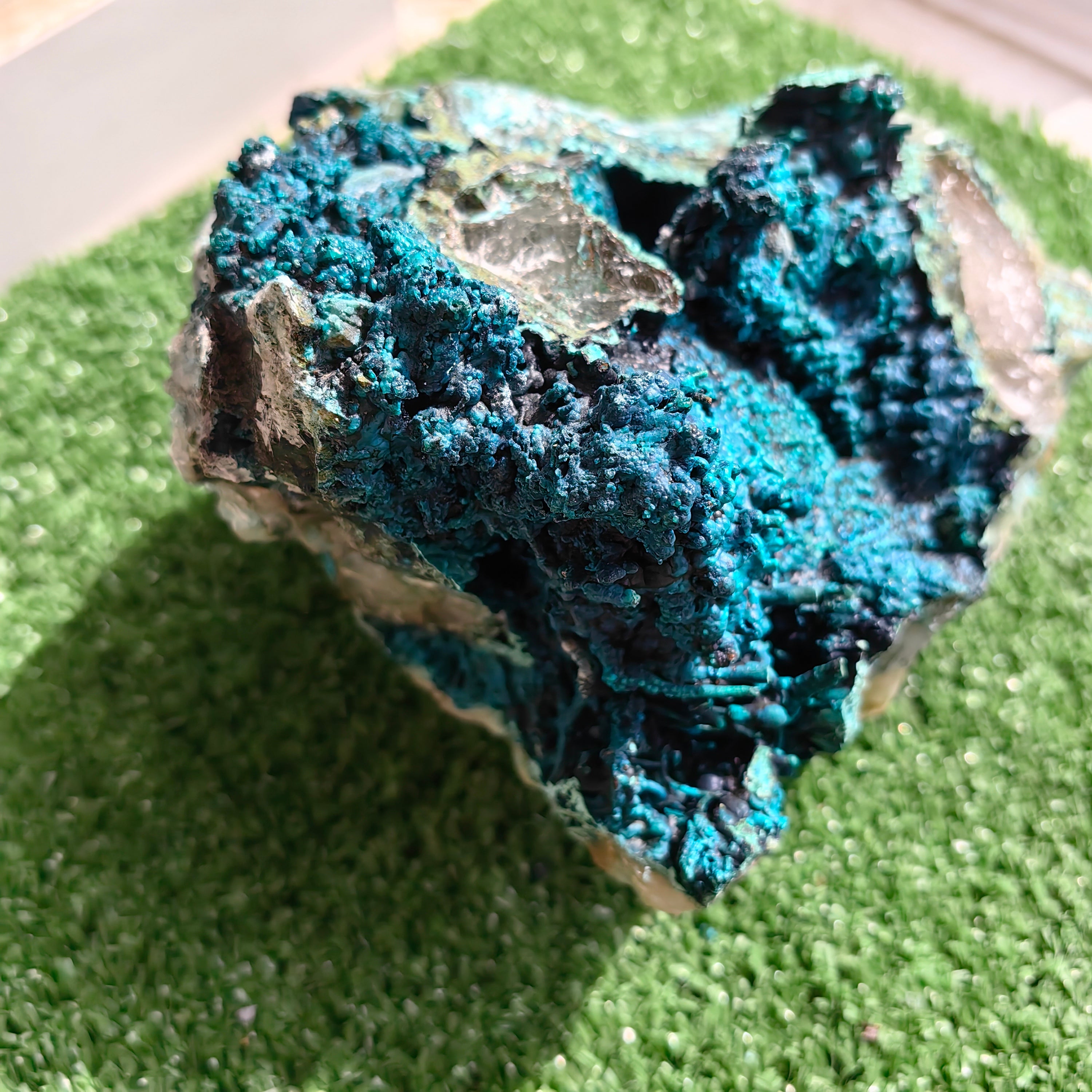 Chrysocolla on Quartz from mine tentadora