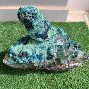 Chrysocolla on Quartz from mine tentadora
