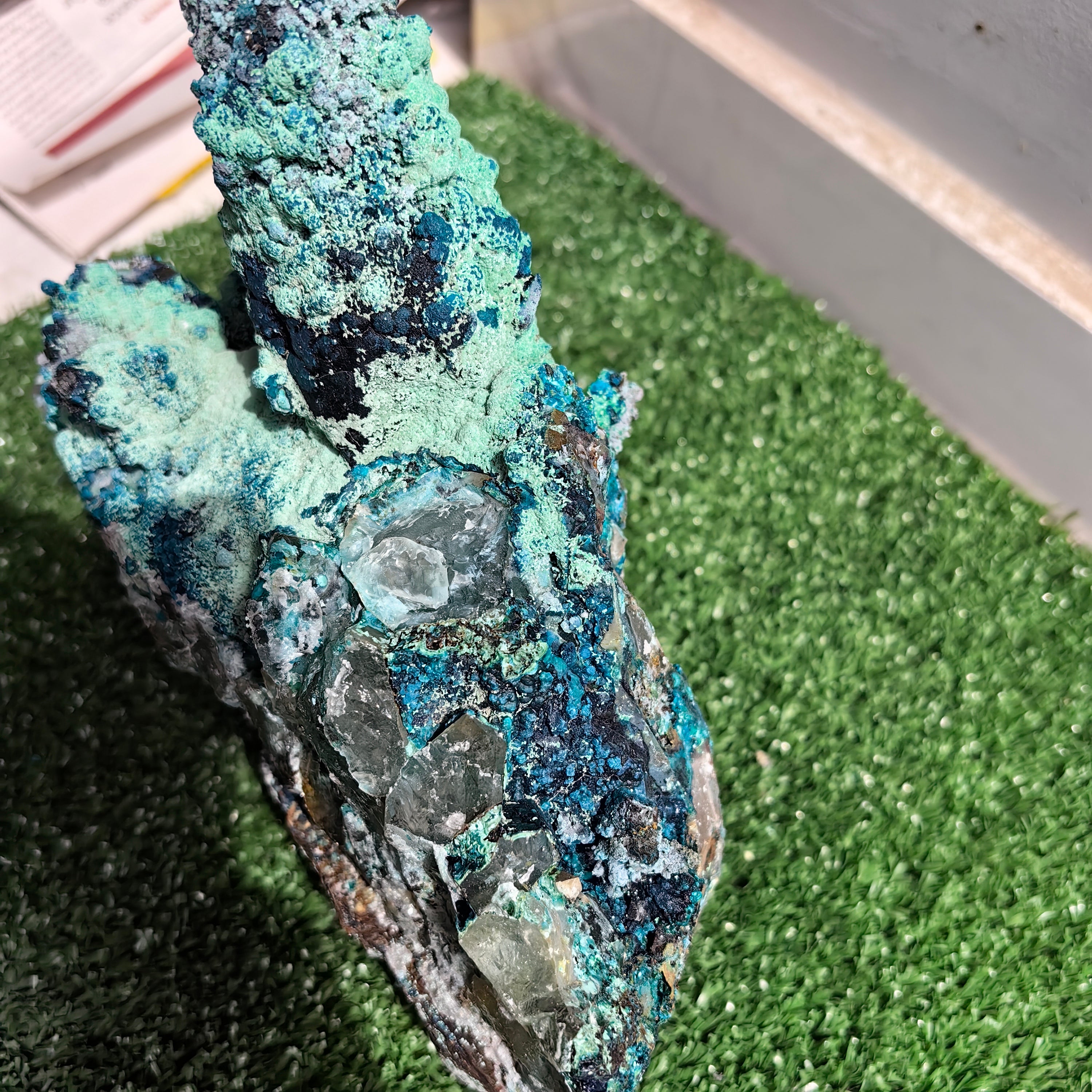 Chrysocolla on Quartz from mine tentadora
