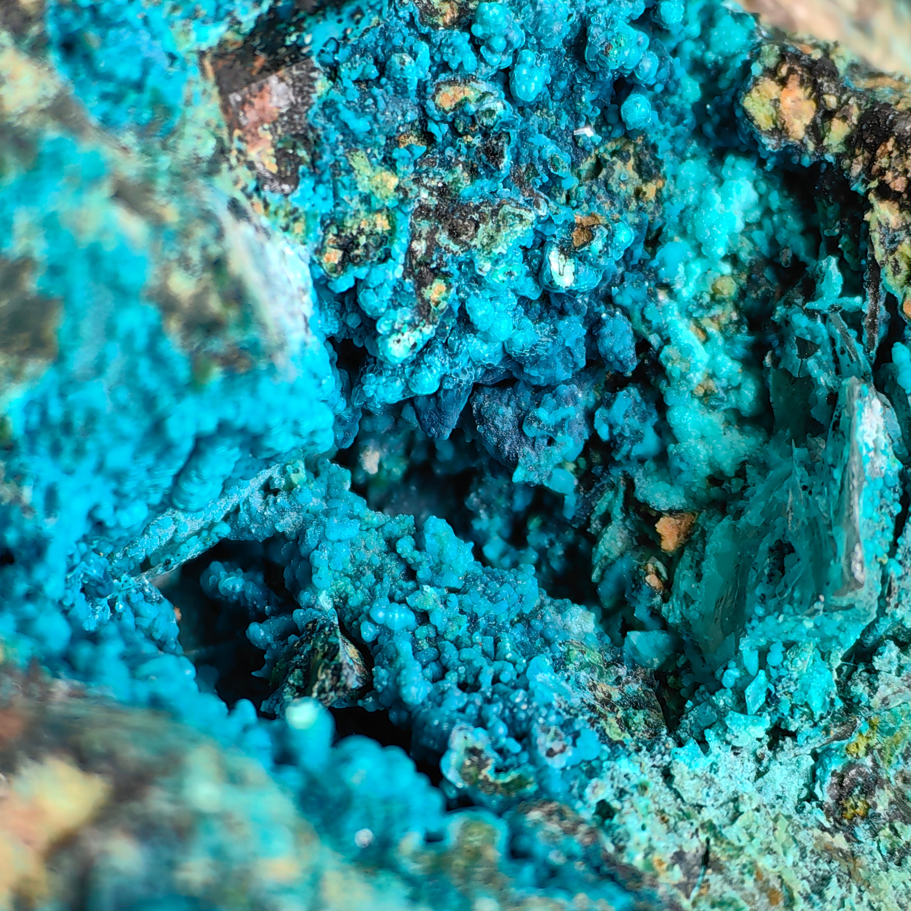 Chrysocolla on Quartz from mine tentadora