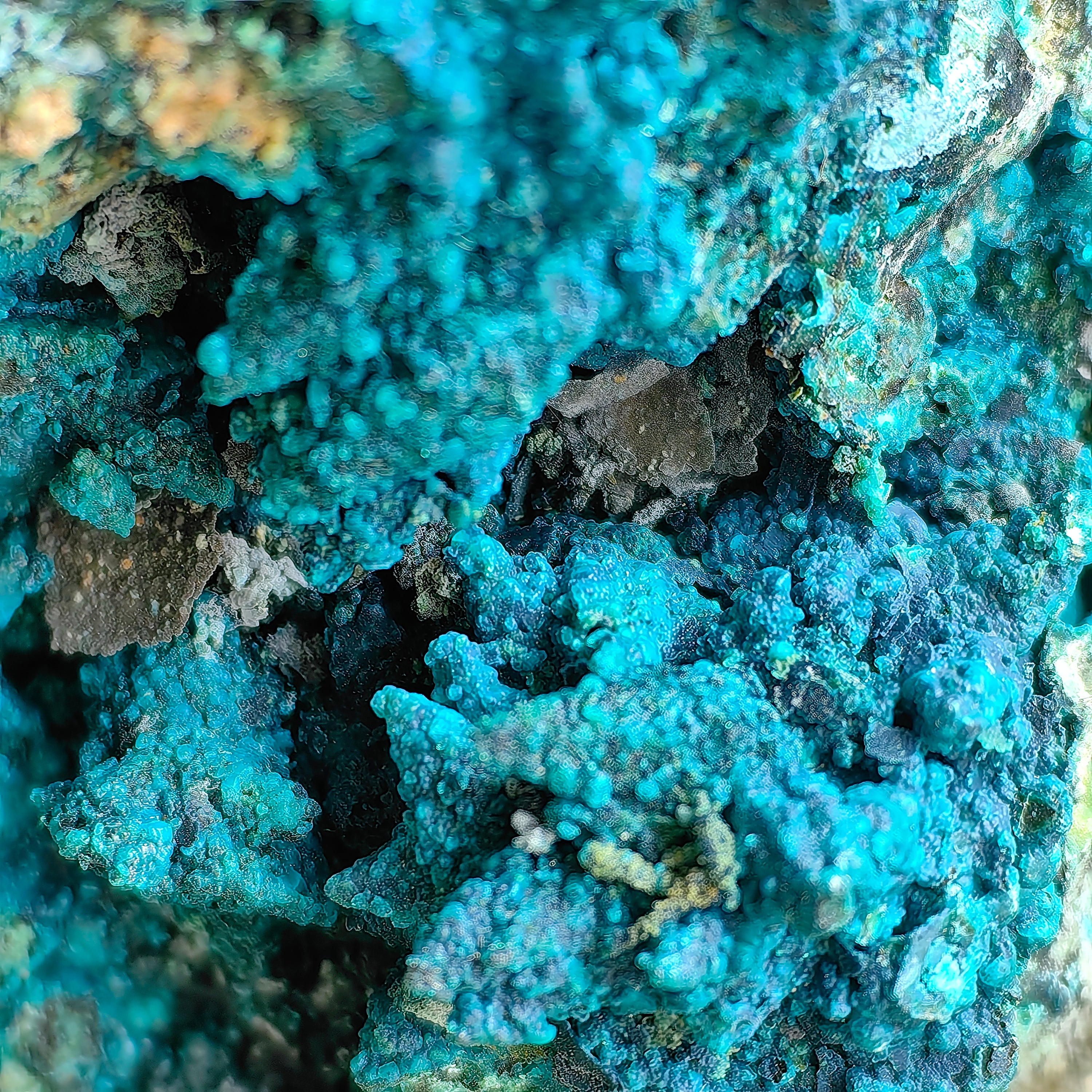 Chrysocolla on Quartz from mine tentadora