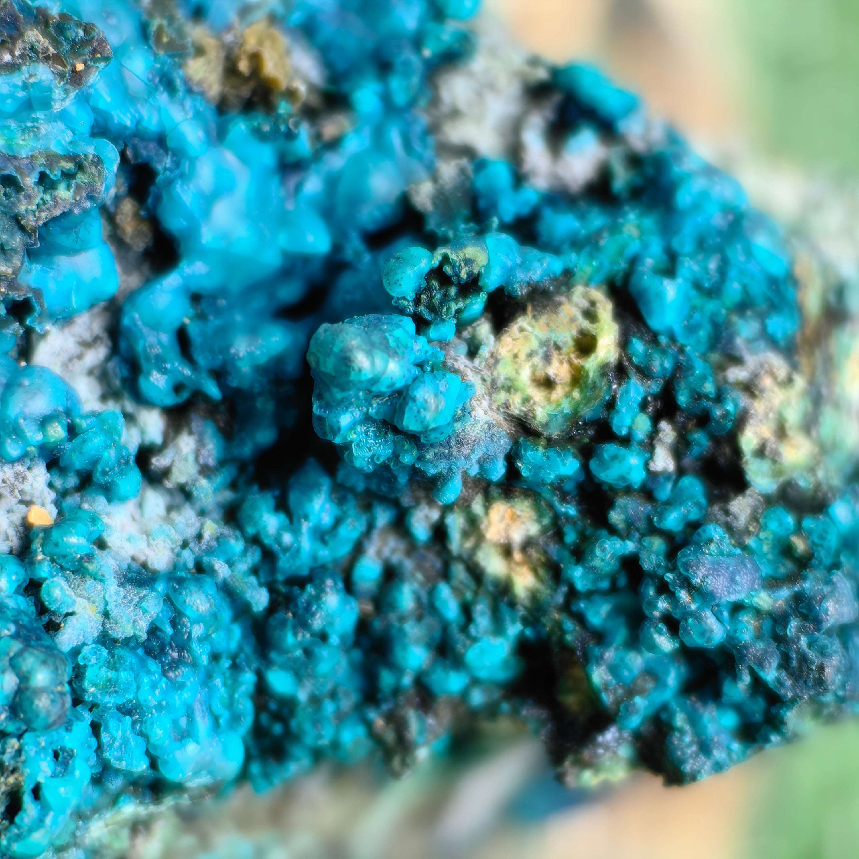 Chrysocolla on Quartz from mine tentadora