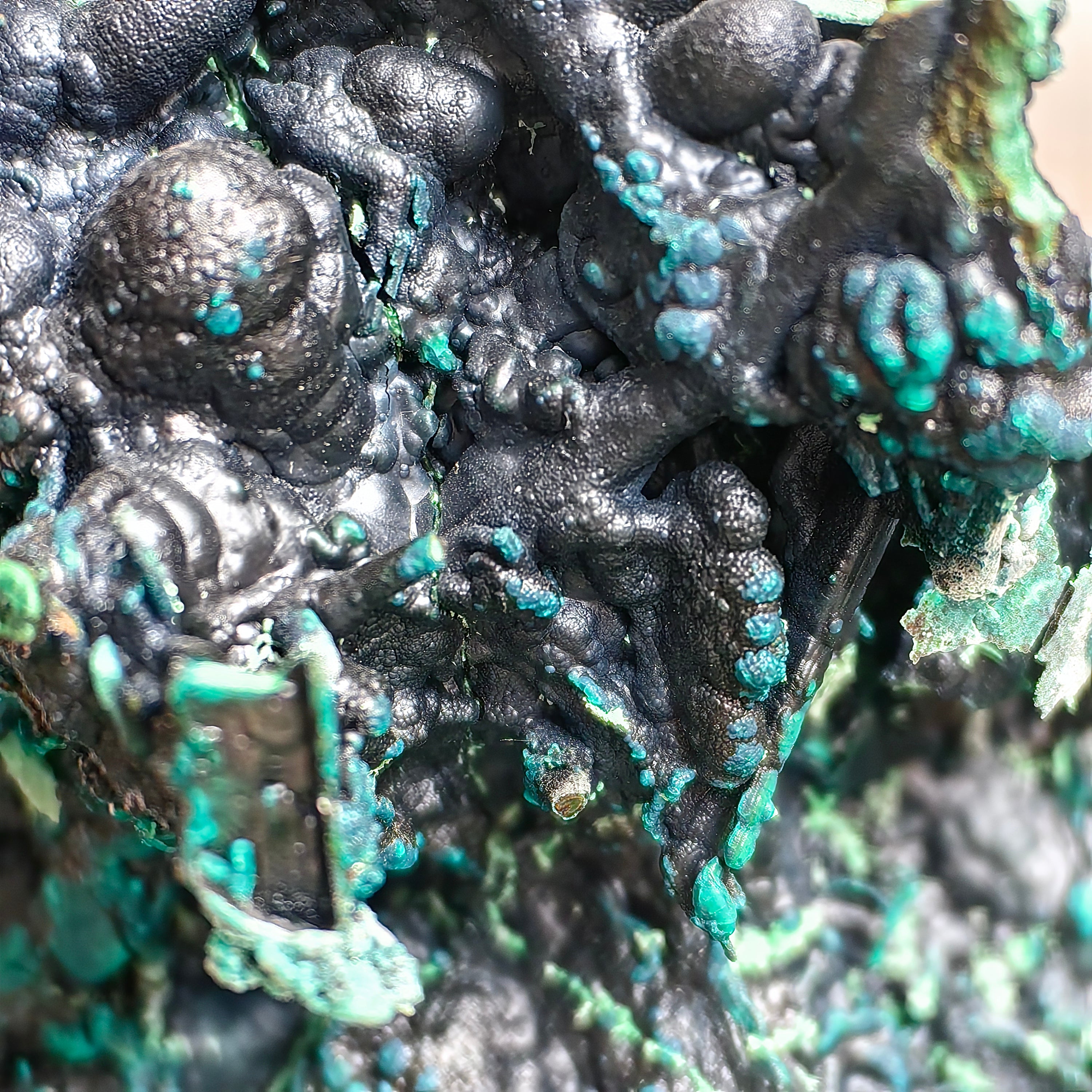 Chrysocolla on Quartz from mine tentadora