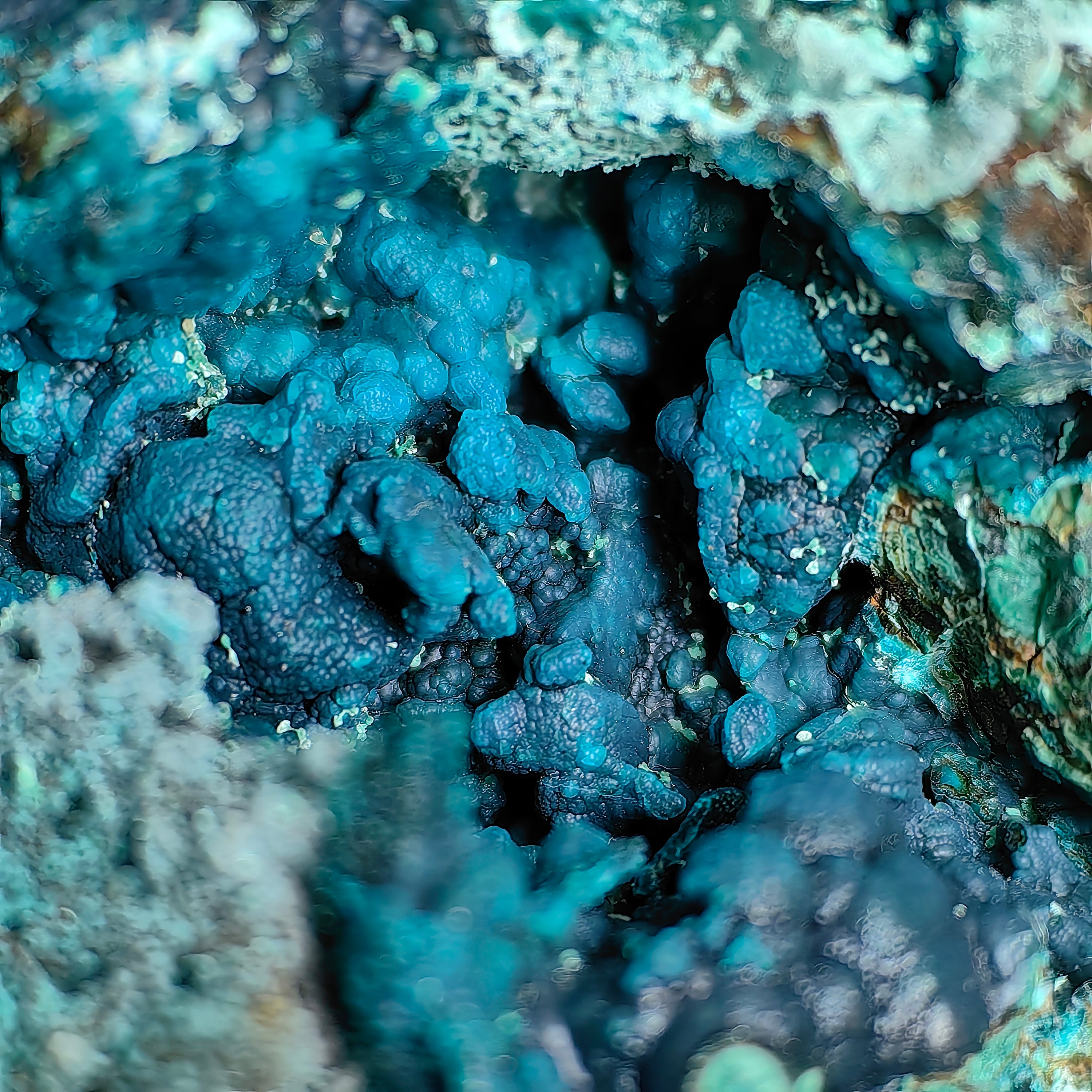 Chrysocolla on Quartz from mine tentadora