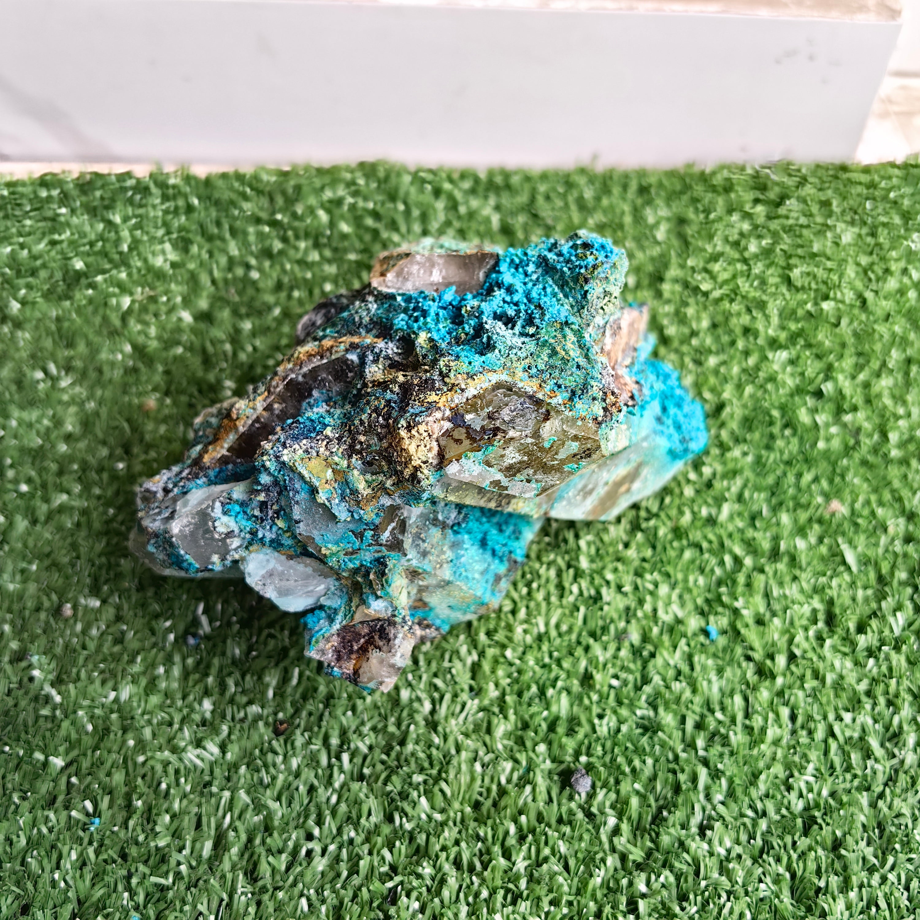 Chrysocolla on Quartz from mine tentadora