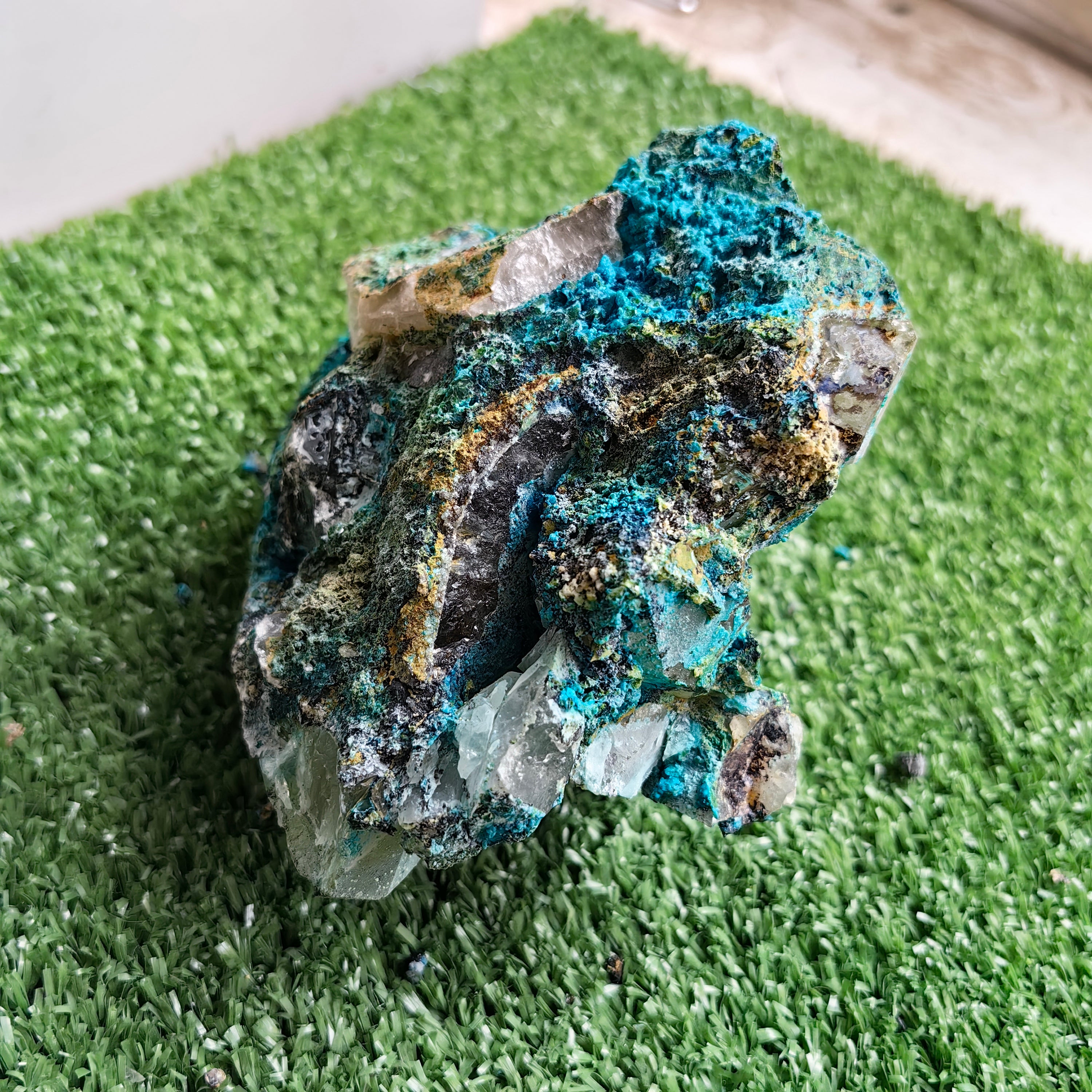Chrysocolla on Quartz from mine tentadora