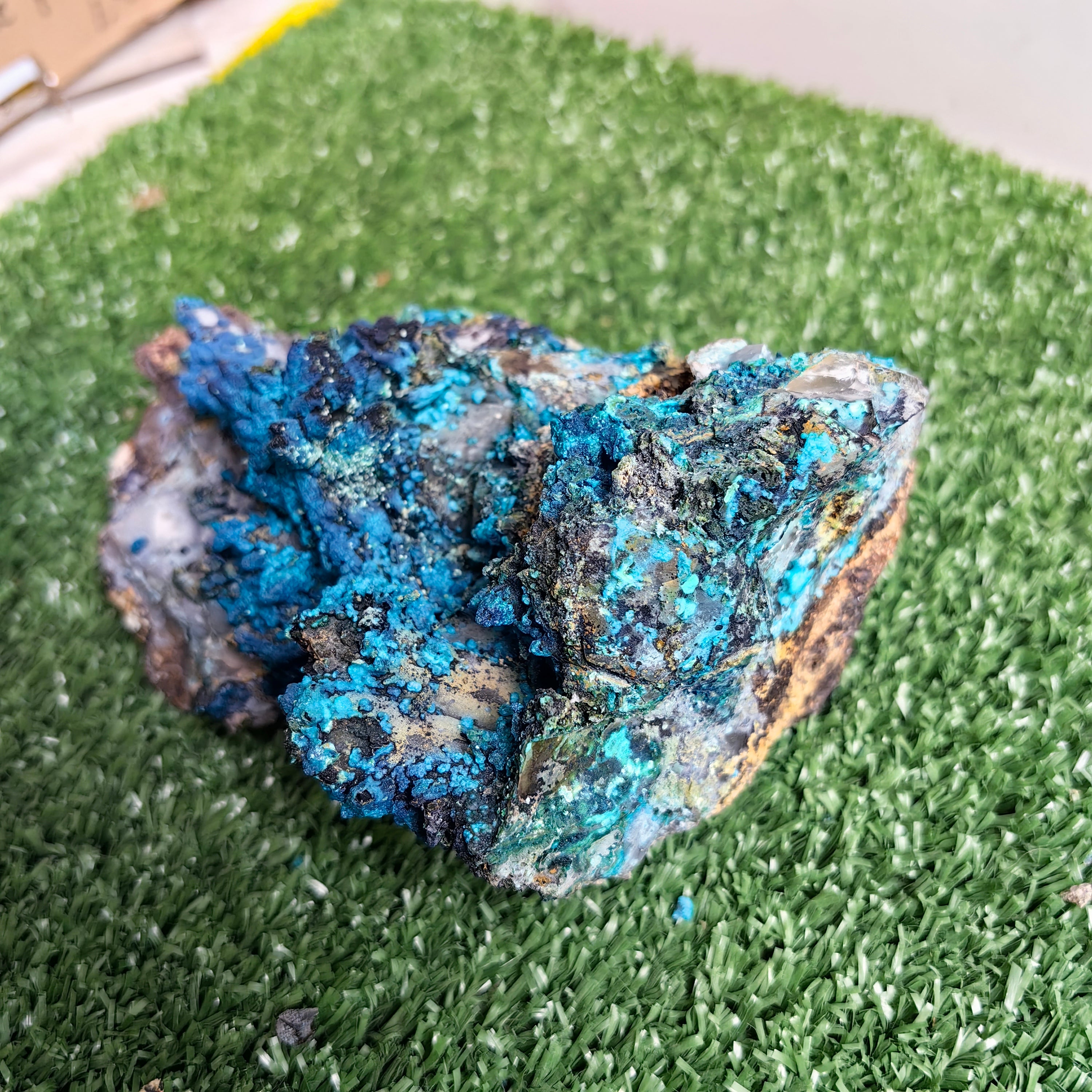 Chrysocolla on Quartz from mine tentadora