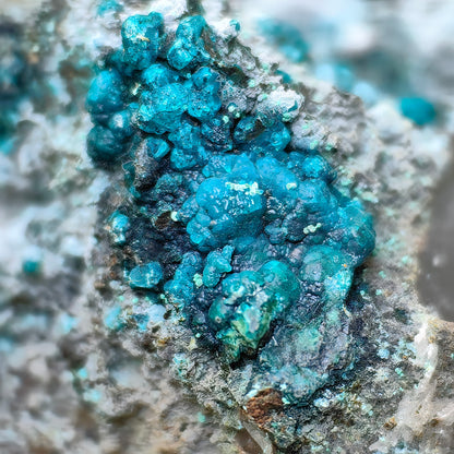 Chrysocolla on Quartz from mine tentadora