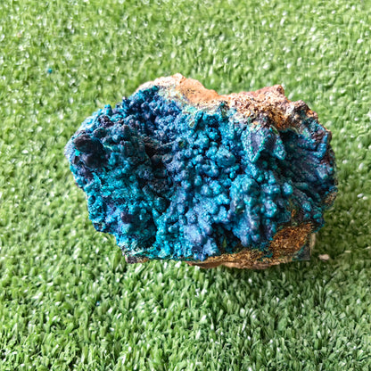 Chrysocolla on Quartz from mine tentadora