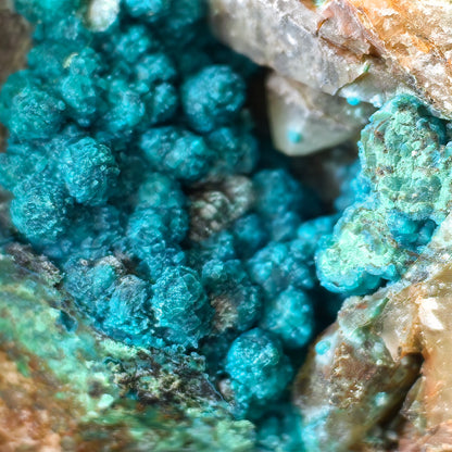 Chrysocolla on Quartz from mine tentadora