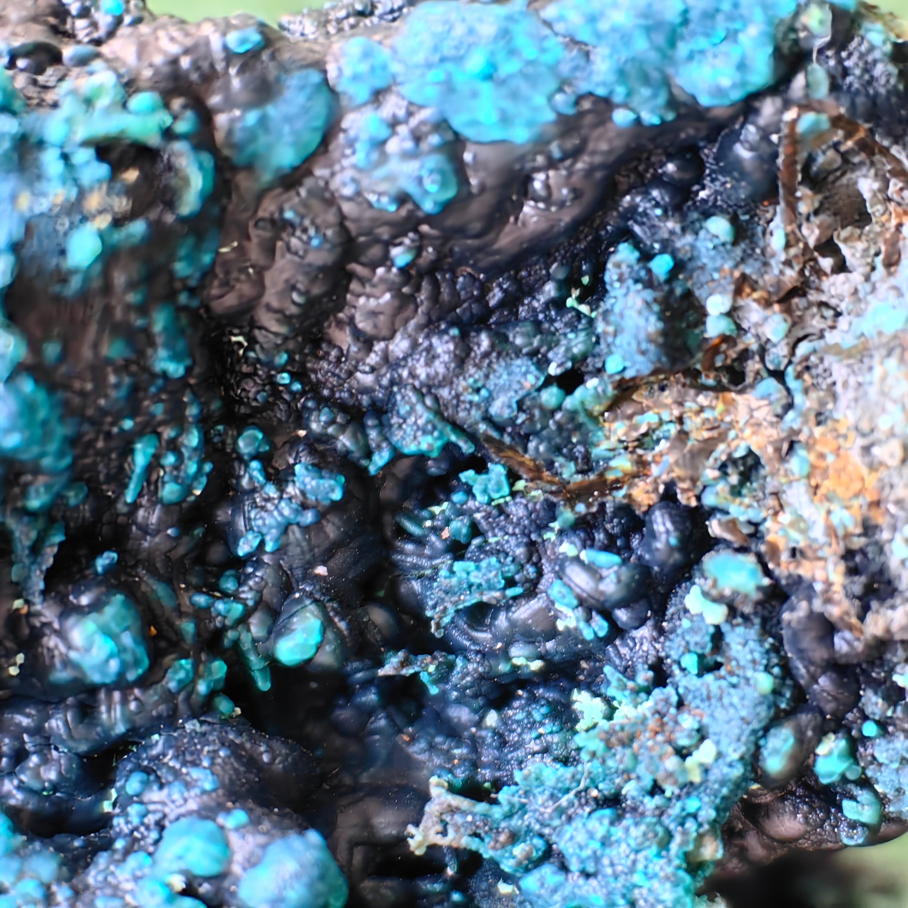 Chrysocolla on Quartz from mine tentadora