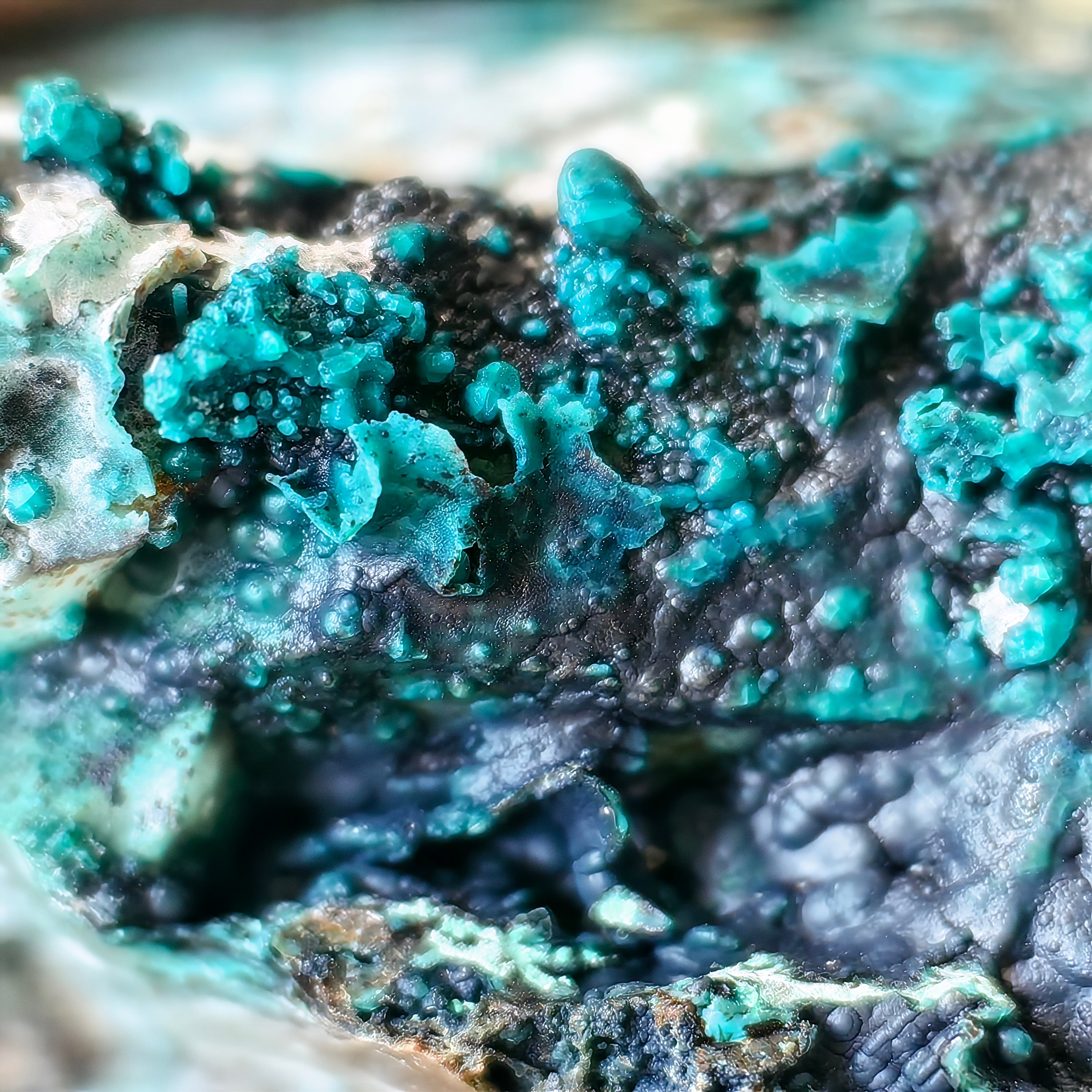Chrysocolla on Quartz from mine tentadora