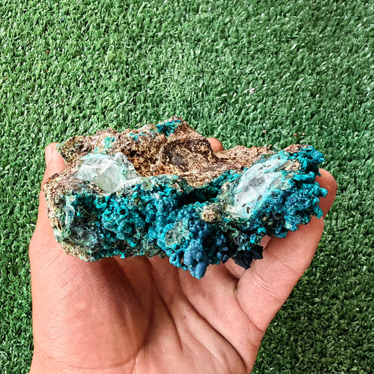 Chrysocolla on Quartz from mine tentadora